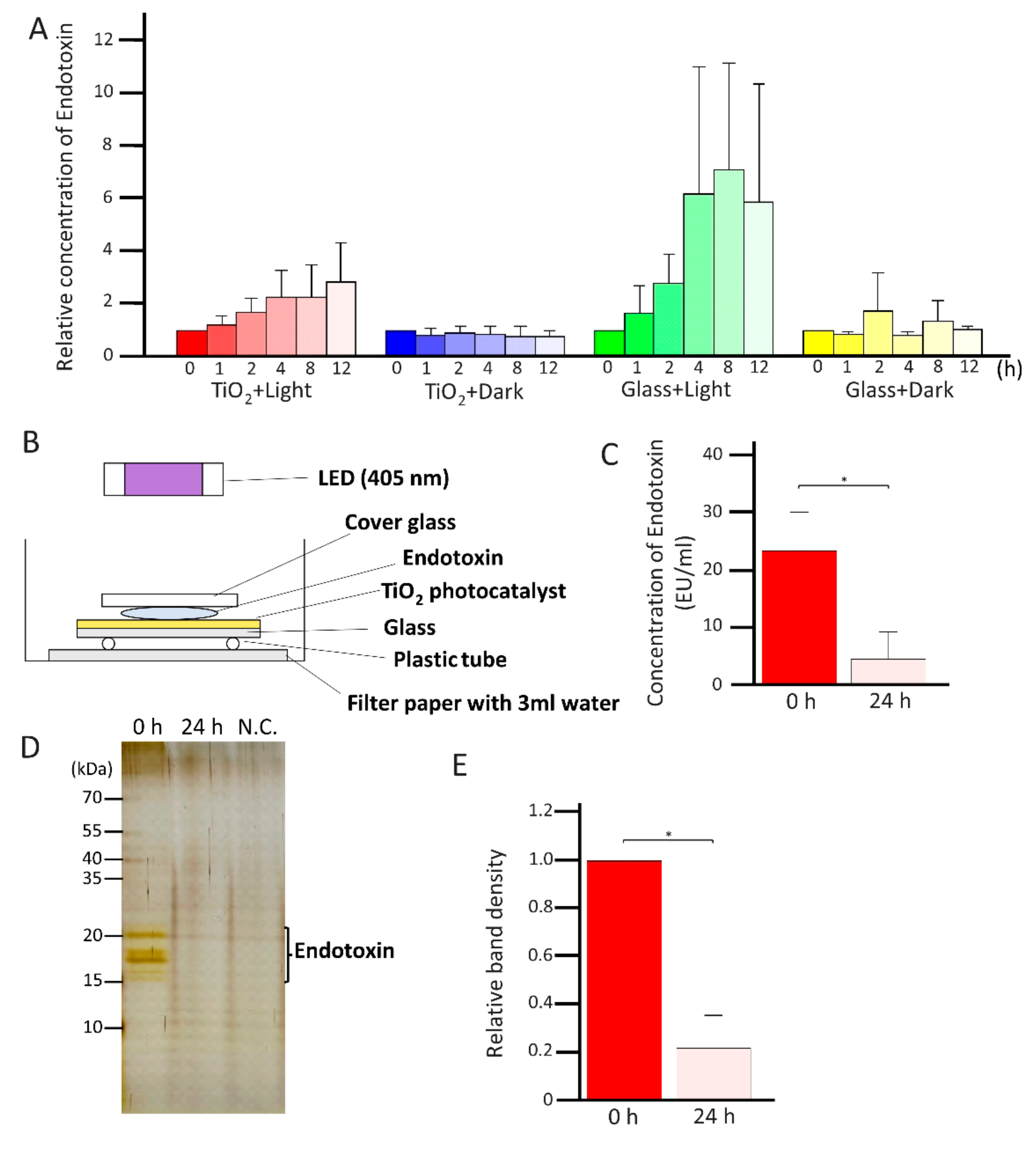 Catalysts 12 00856 g005