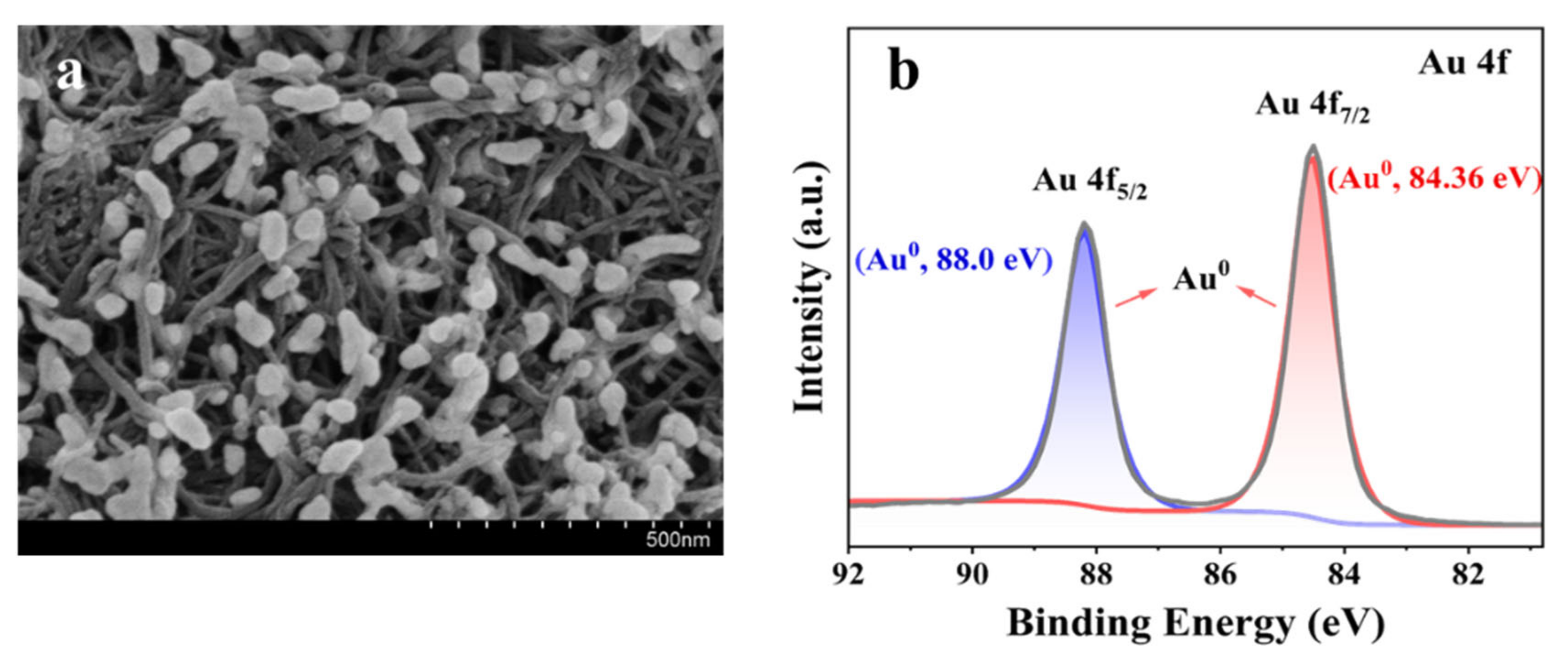 Catalysts 12 00861 g002