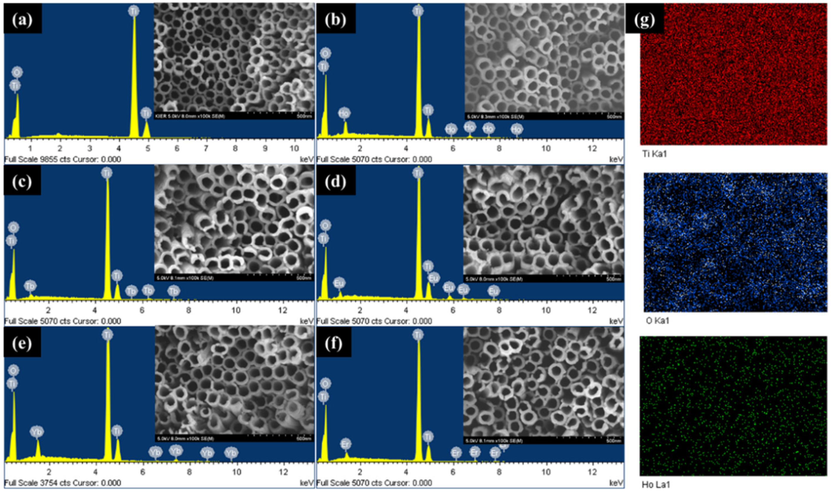 Catalysts 12 00866 g001 Catalysts 12 00866 g001