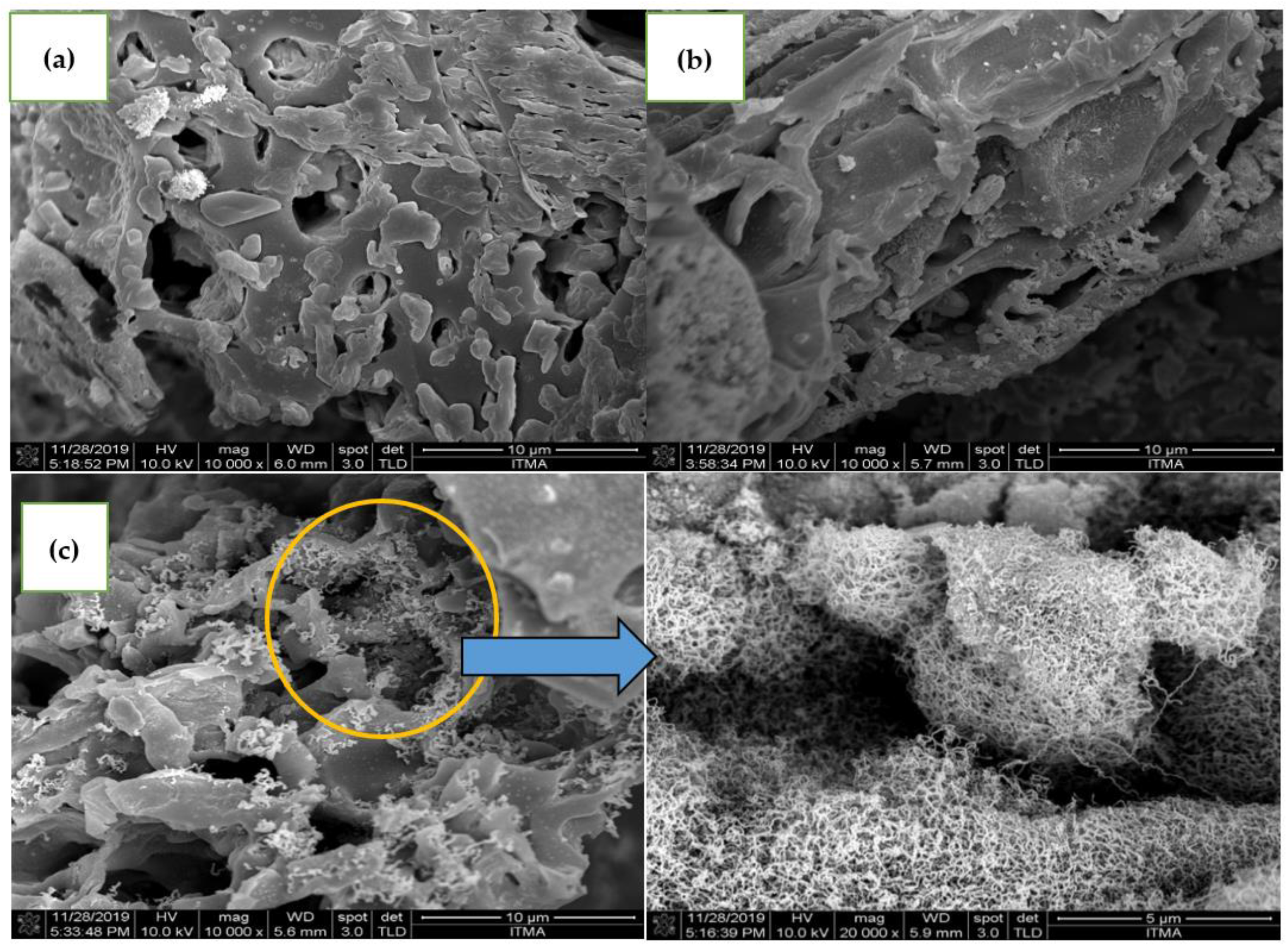 Catalysts 12 00874 g004 Catalysts 12 00874 g004