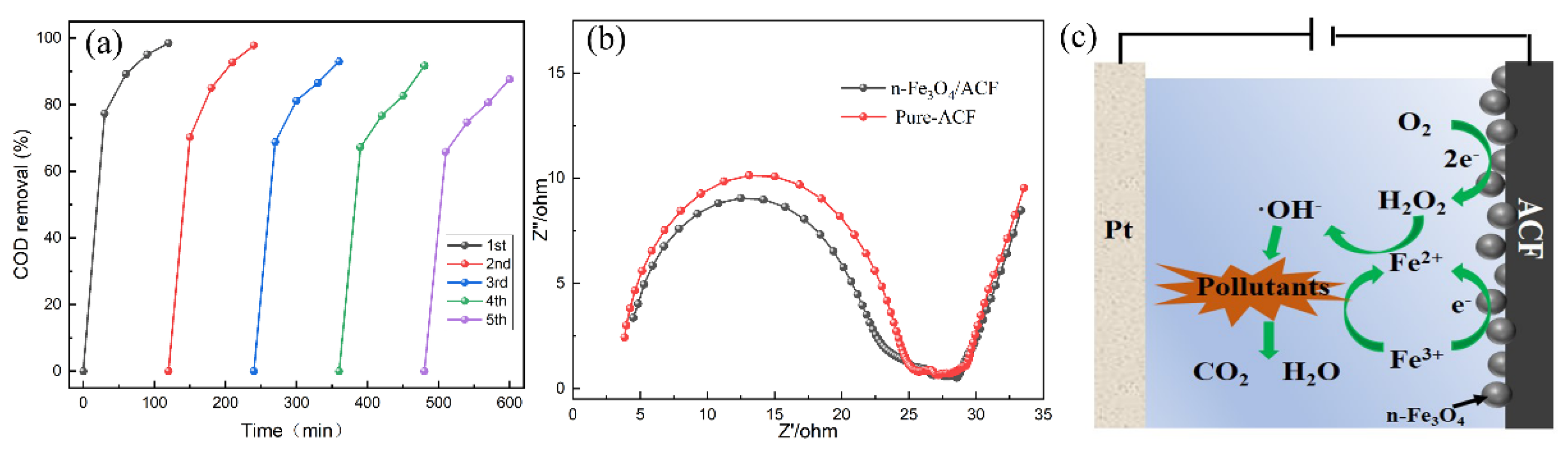 Catalysts 12 00879 g005