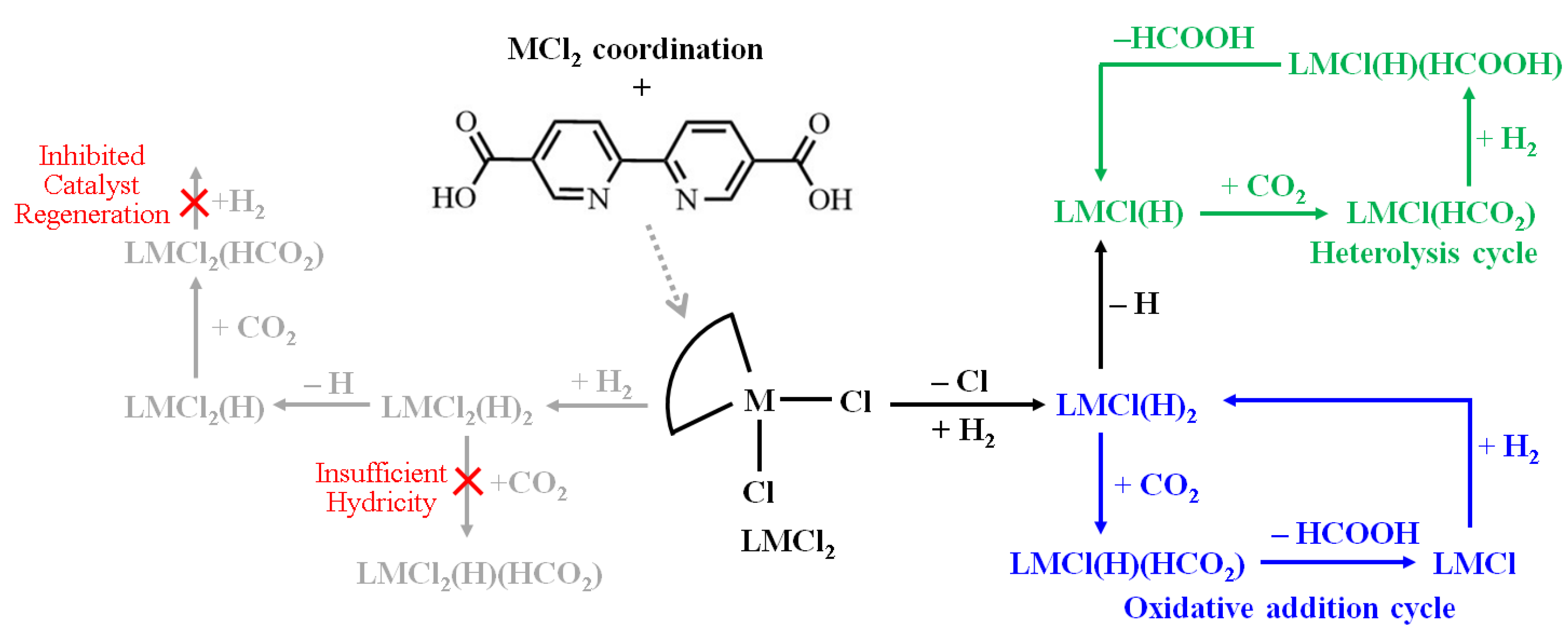 Catalysts 12 00890 g001