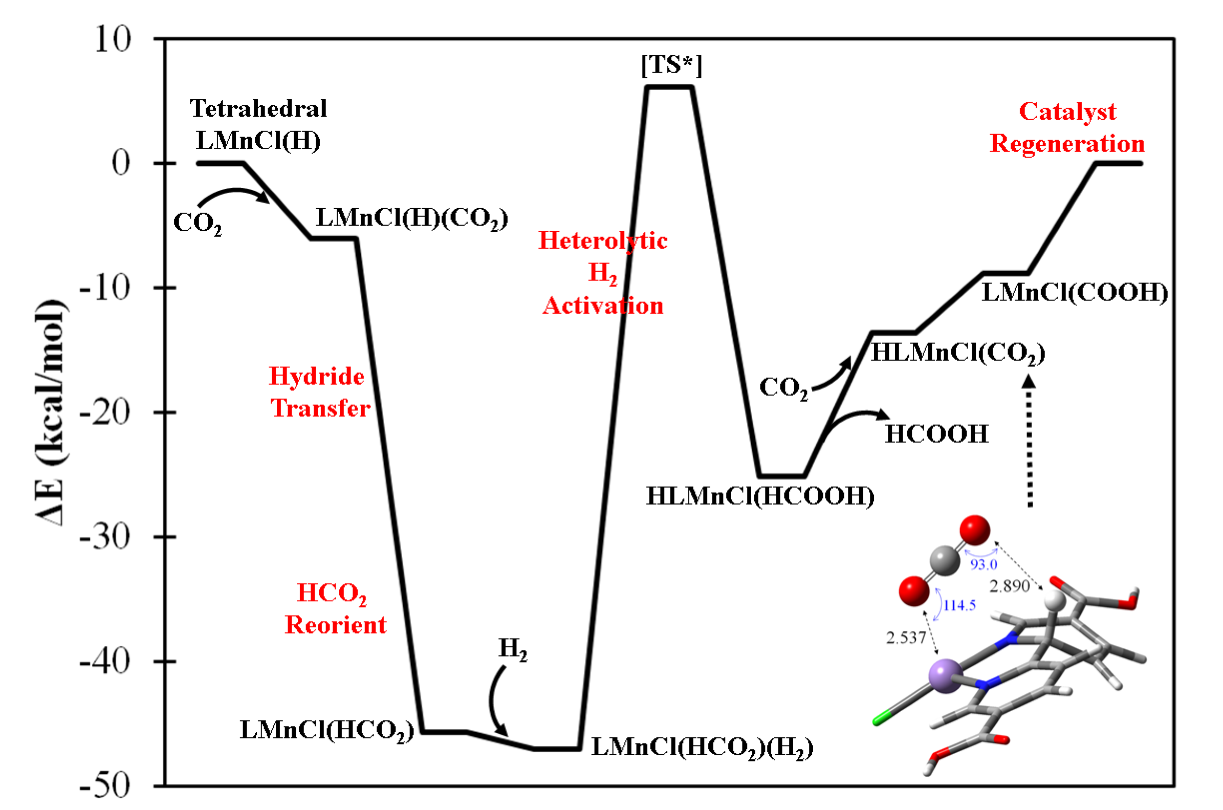 Catalysts 12 00890 g004
