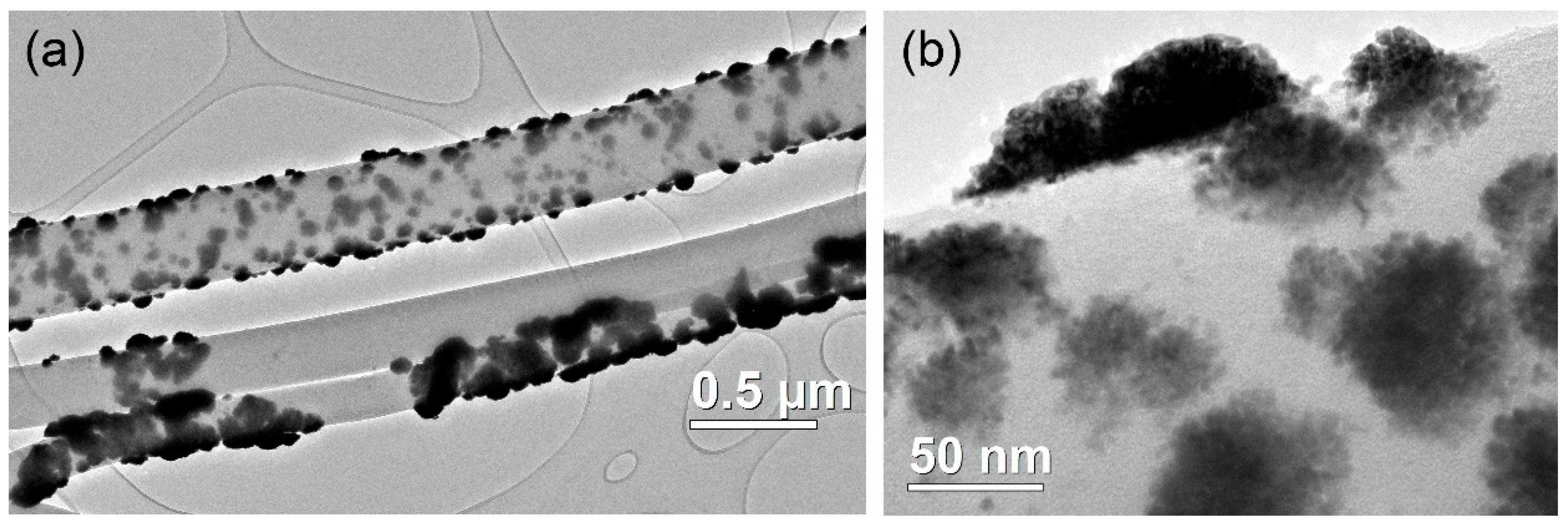Catalysts 12 00891 g001