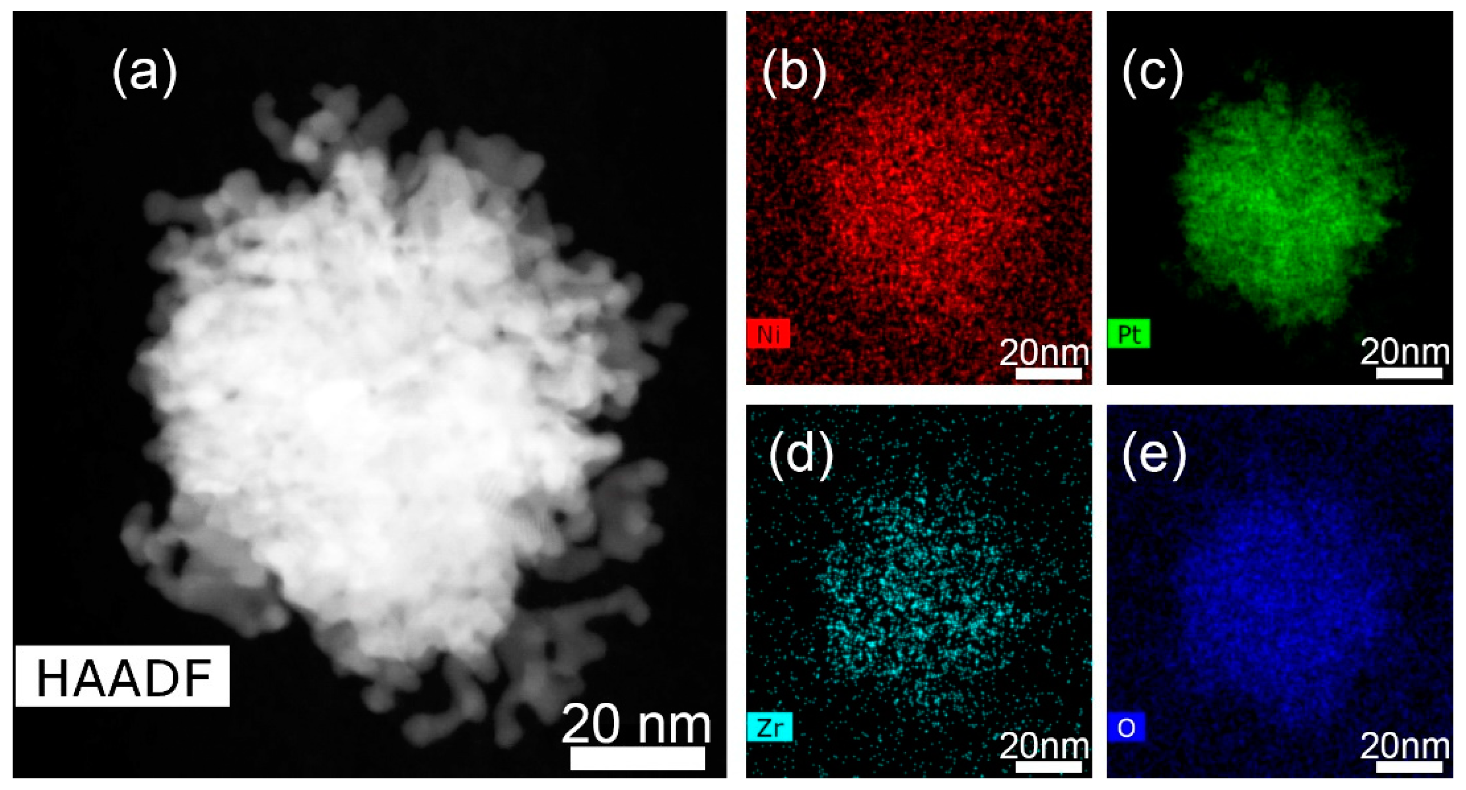 Catalysts 12 00891 g004