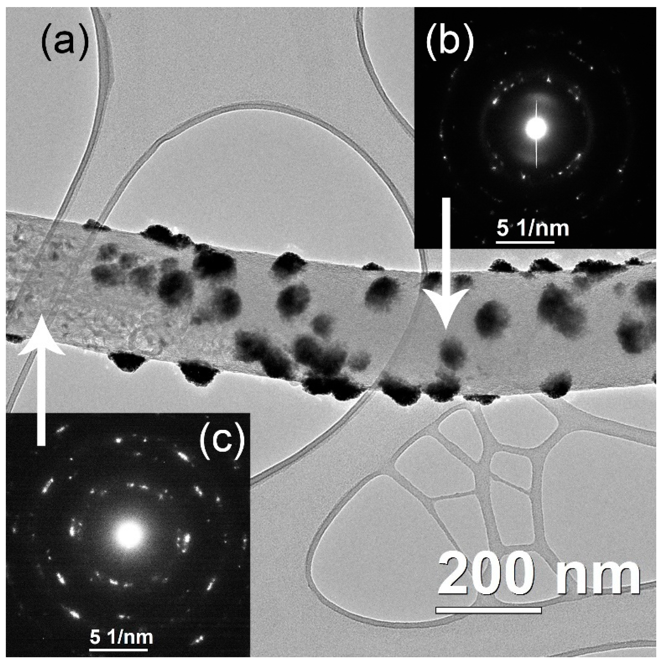 Catalysts 12 00891 g007