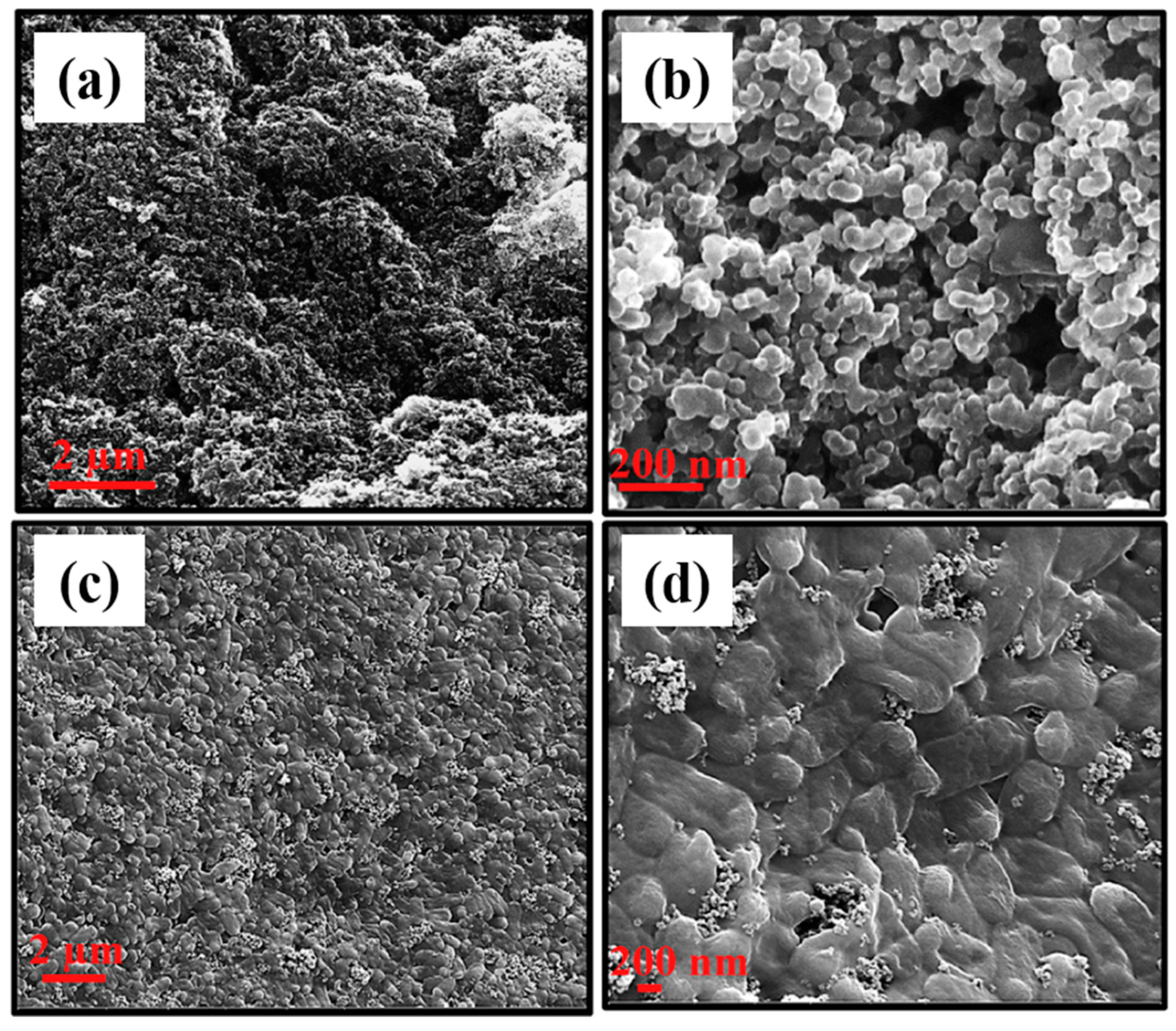 Catalysts 12 00894 g005