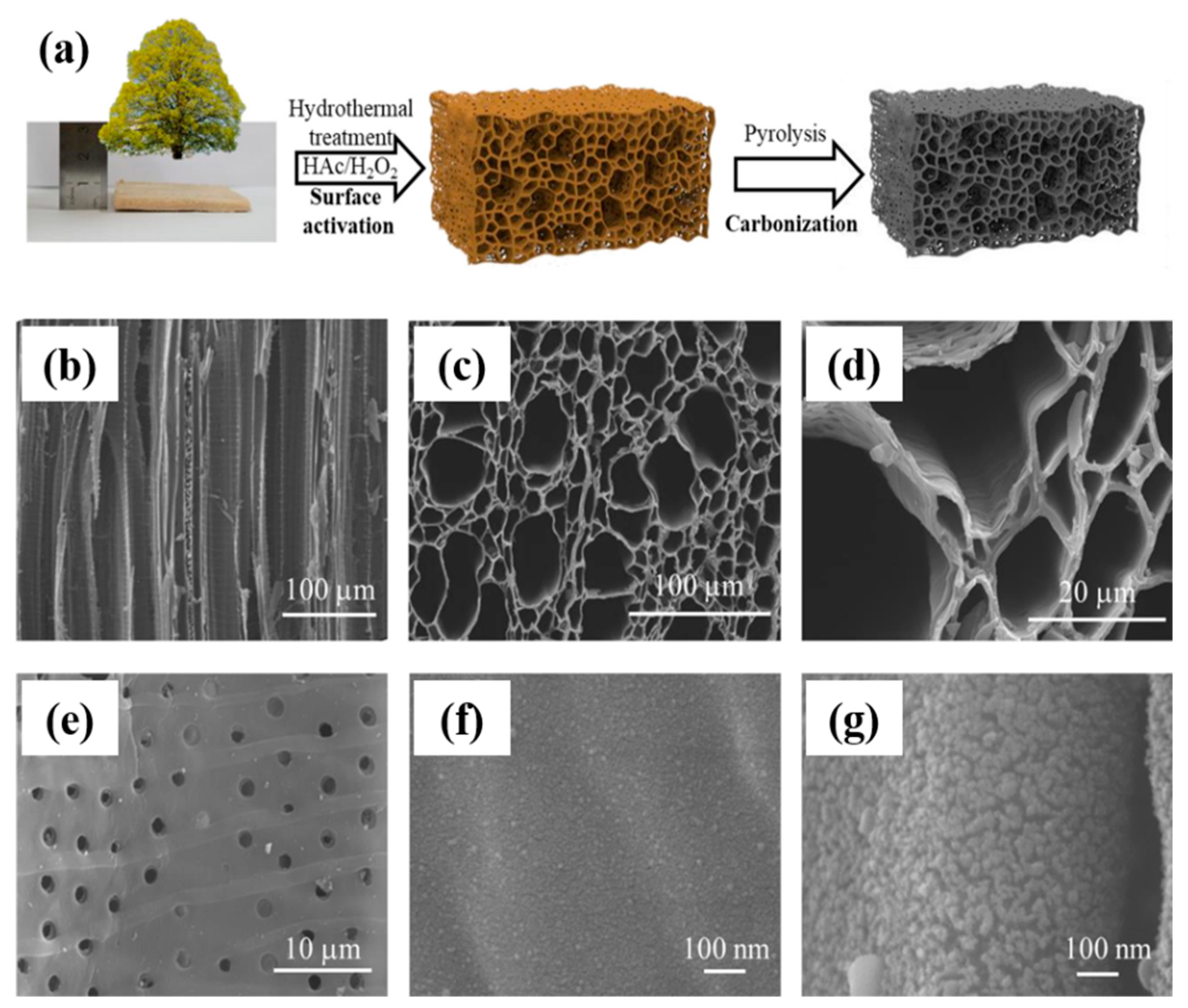 Catalysts 12 00894 g006