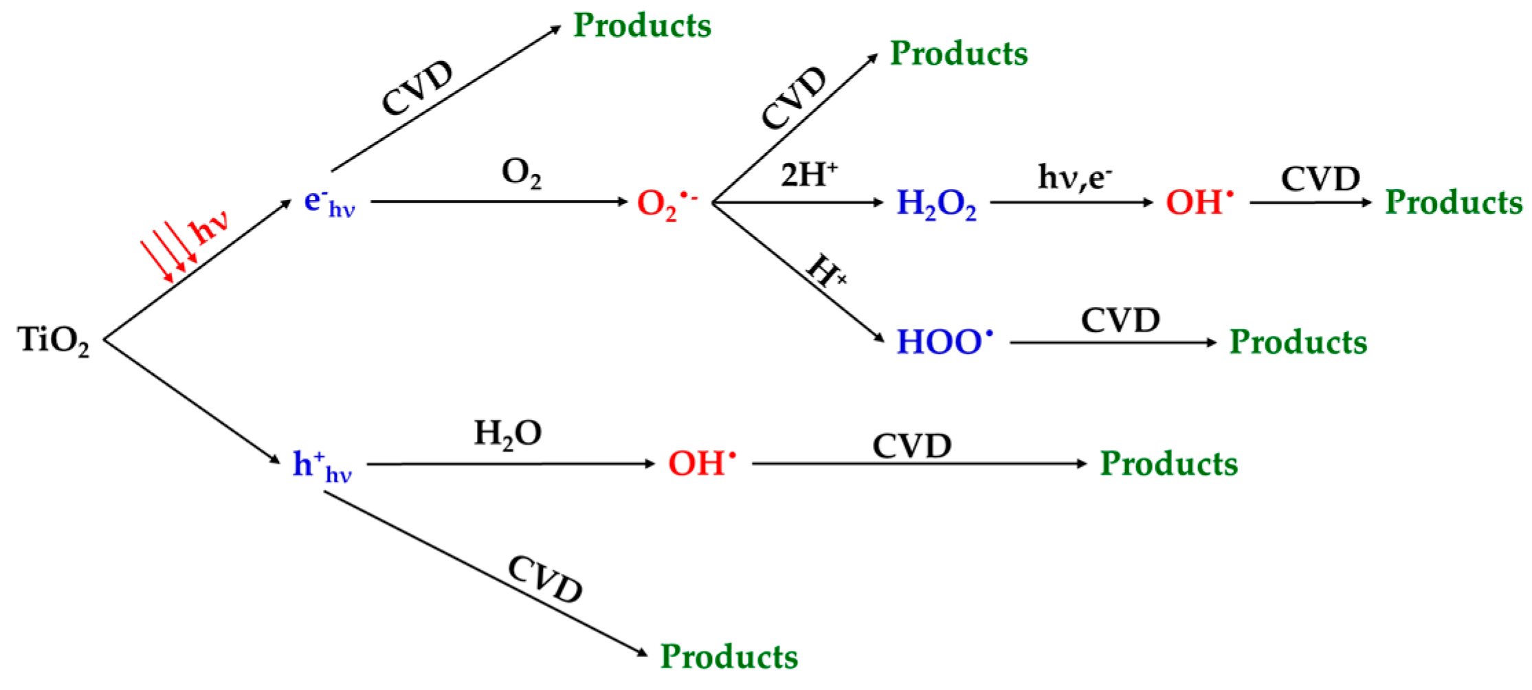 Catalysts 12 00899 g014