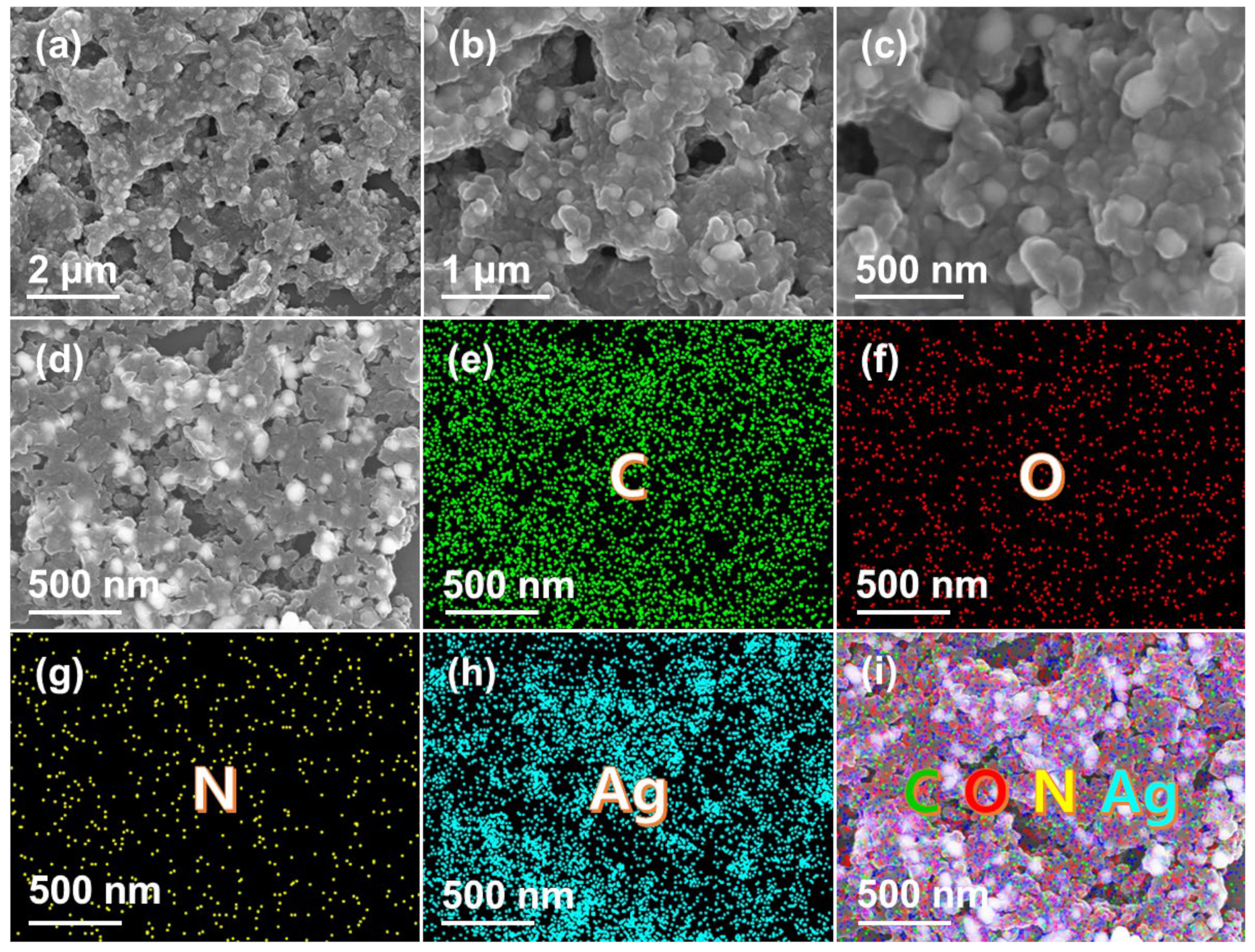 Catalysts 12 00937 g002