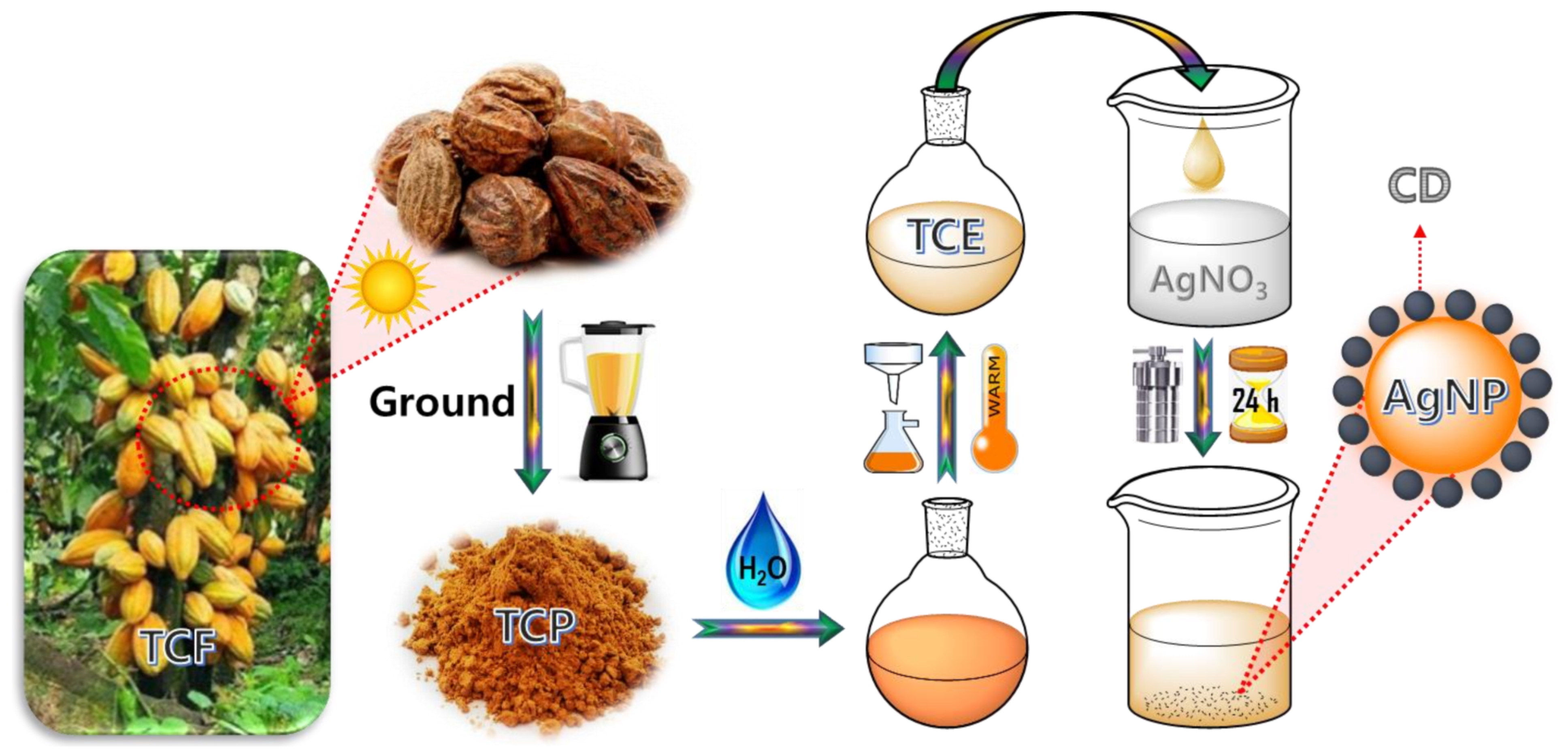 Catalysts 12 00937 sch001