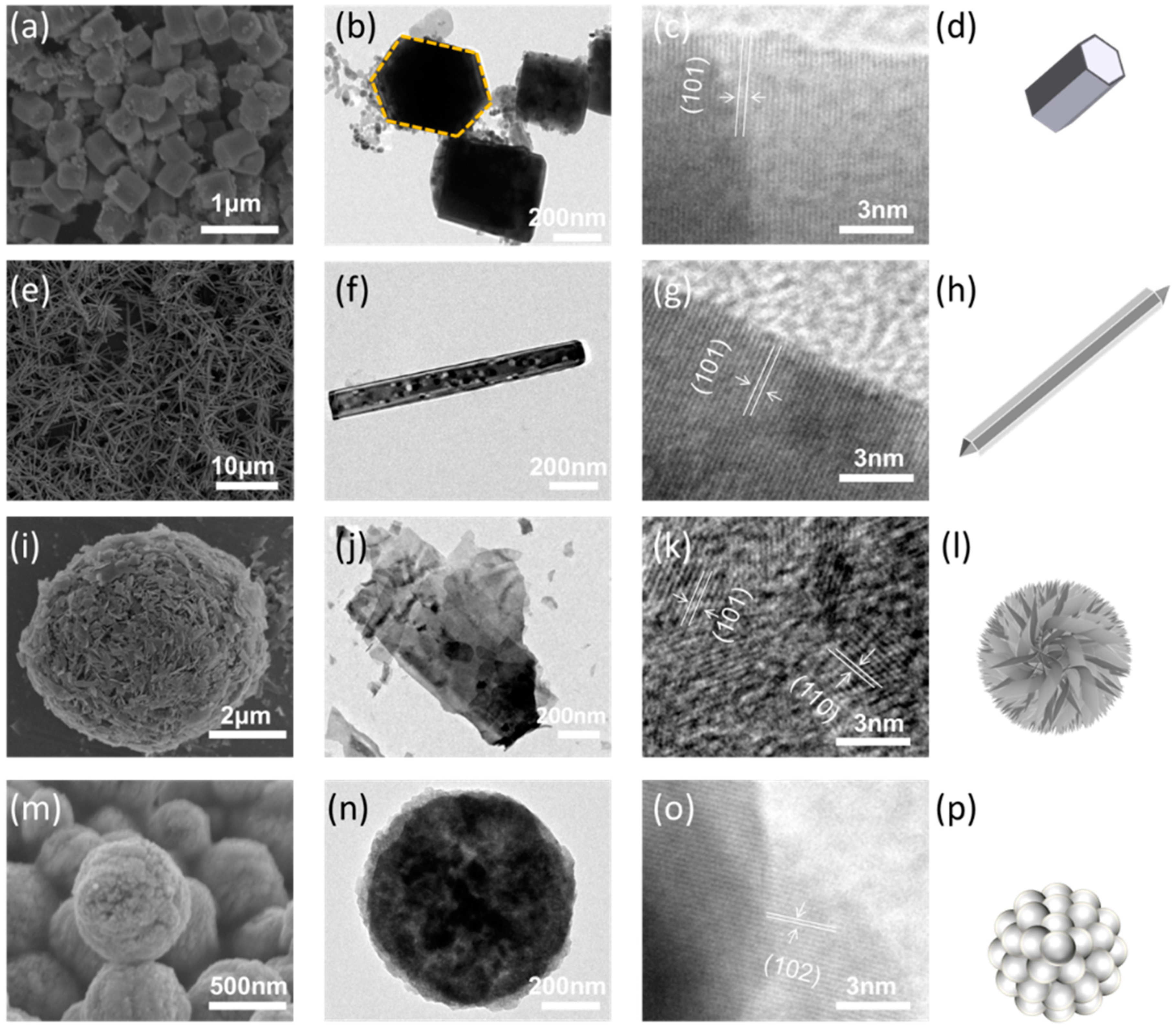 Catalysts 12 00946 g002