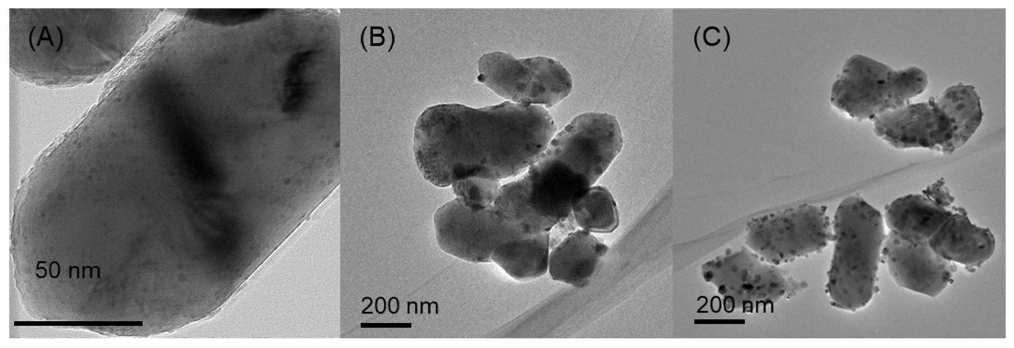 Catalysts 12 00955 g003