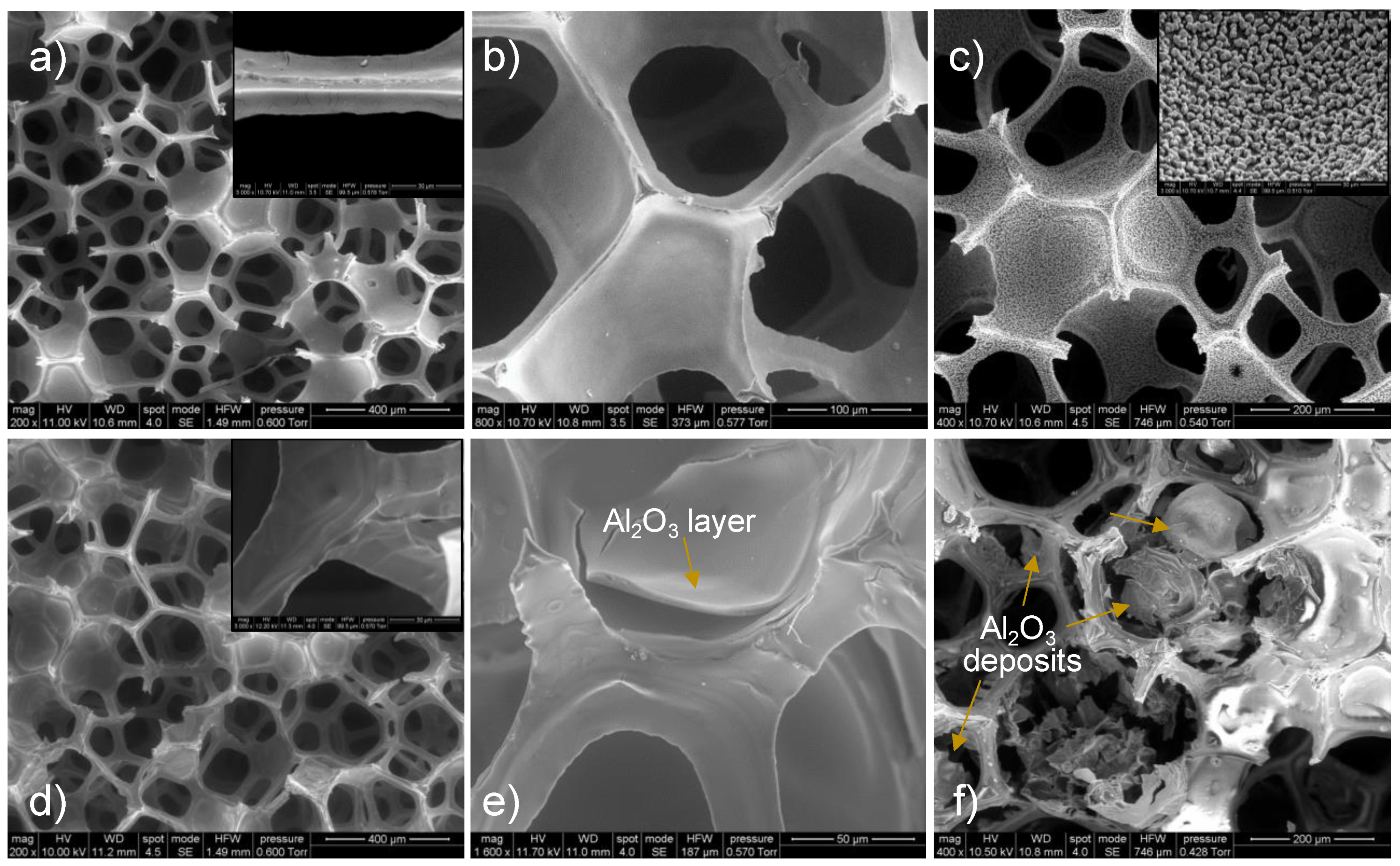 Catalysts 12 00956 g004 Catalysts 12 00956 g004