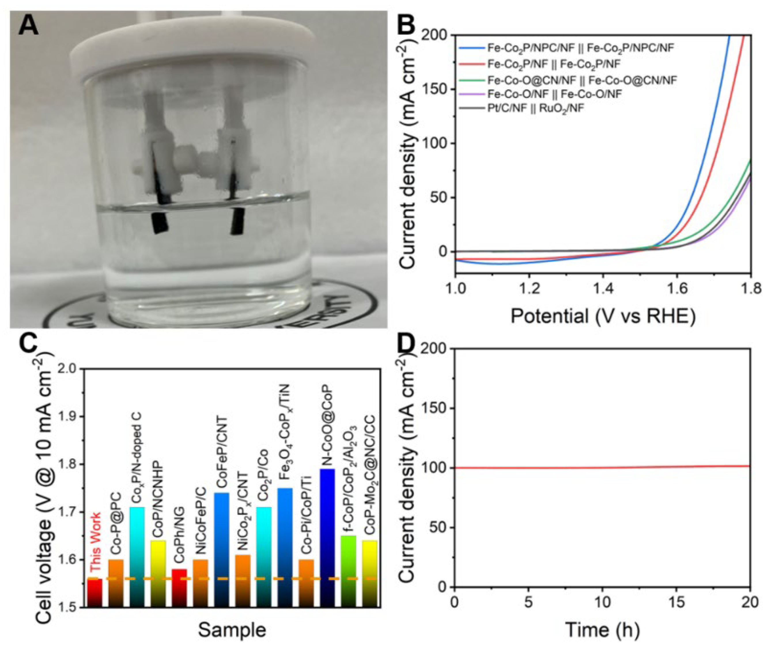 Catalysts 12 00957 g005