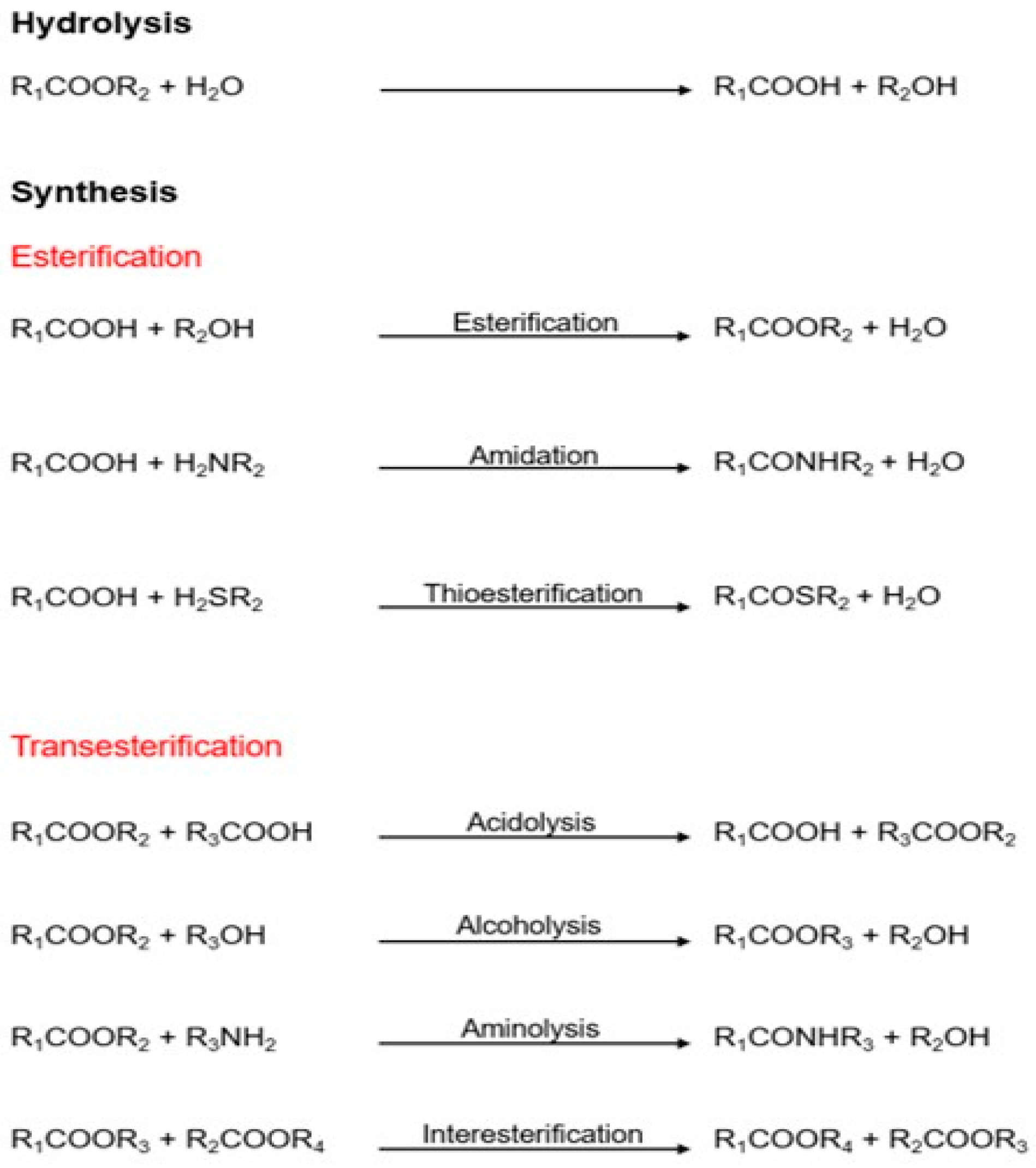 Catalysts 12 00960 g001