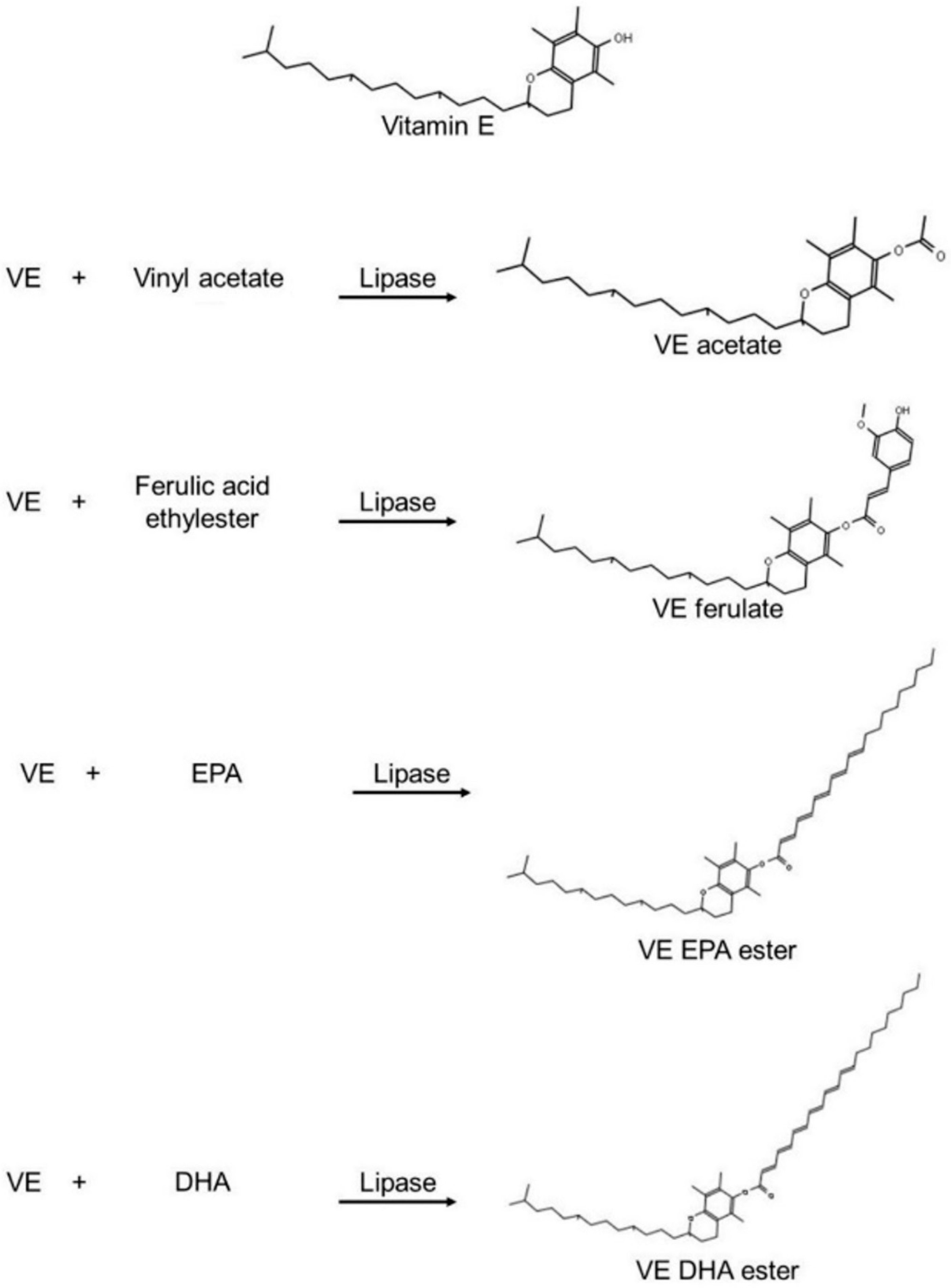 Catalysts 12 00960 g004