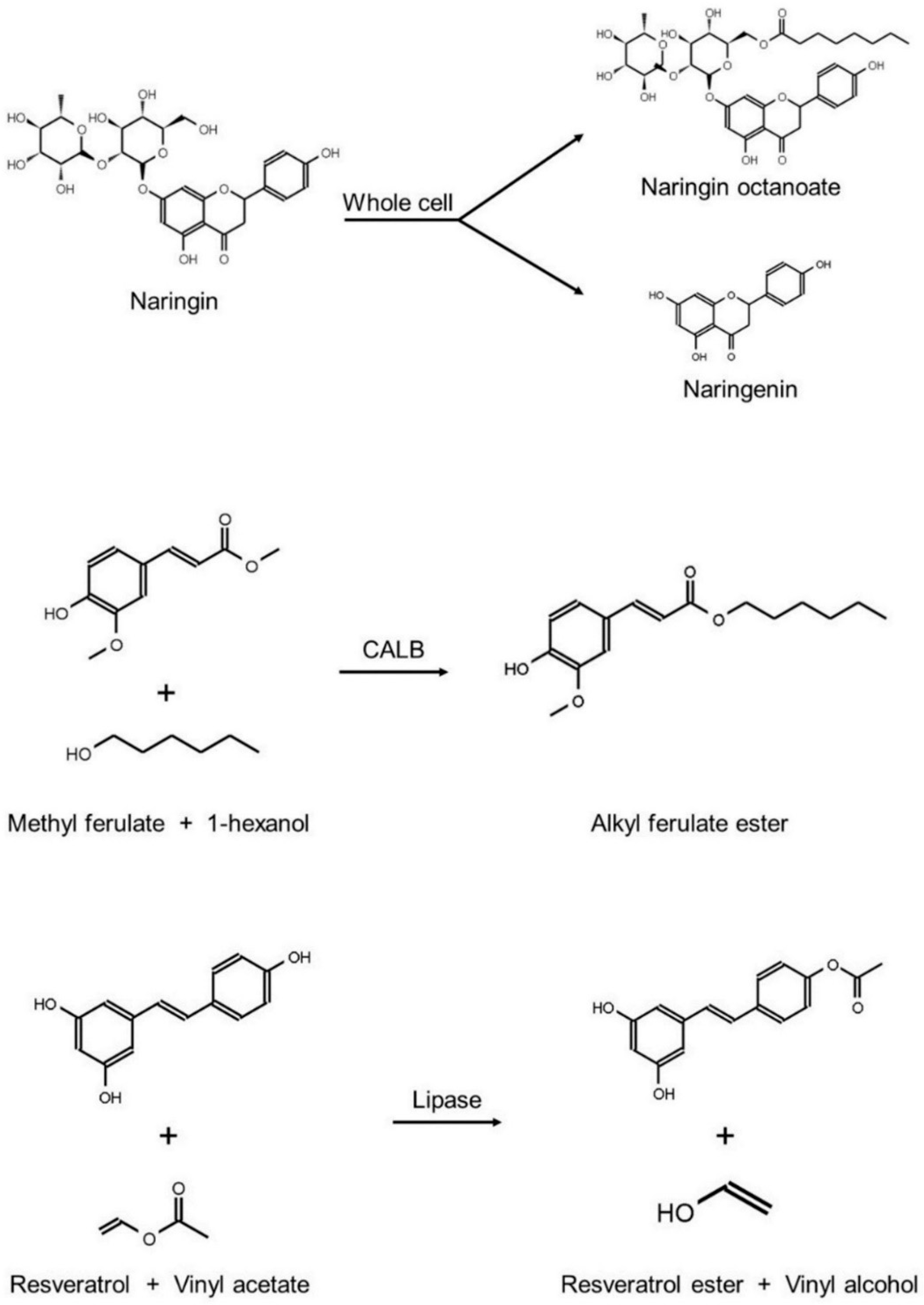Catalysts 12 00960 g005