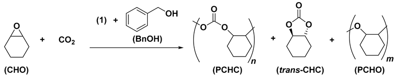 Catalysts 12 00970 i002