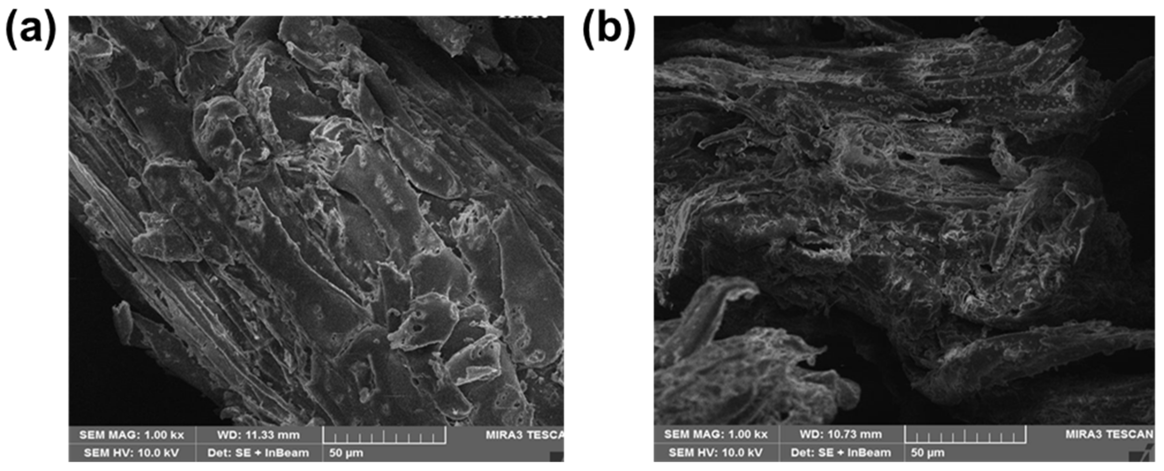 Catalysts 12 00972 g002