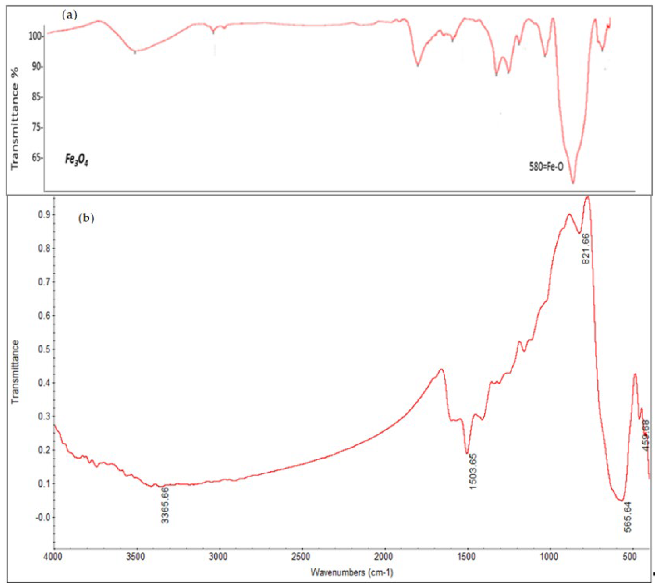 Catalysts 12 00976 g002