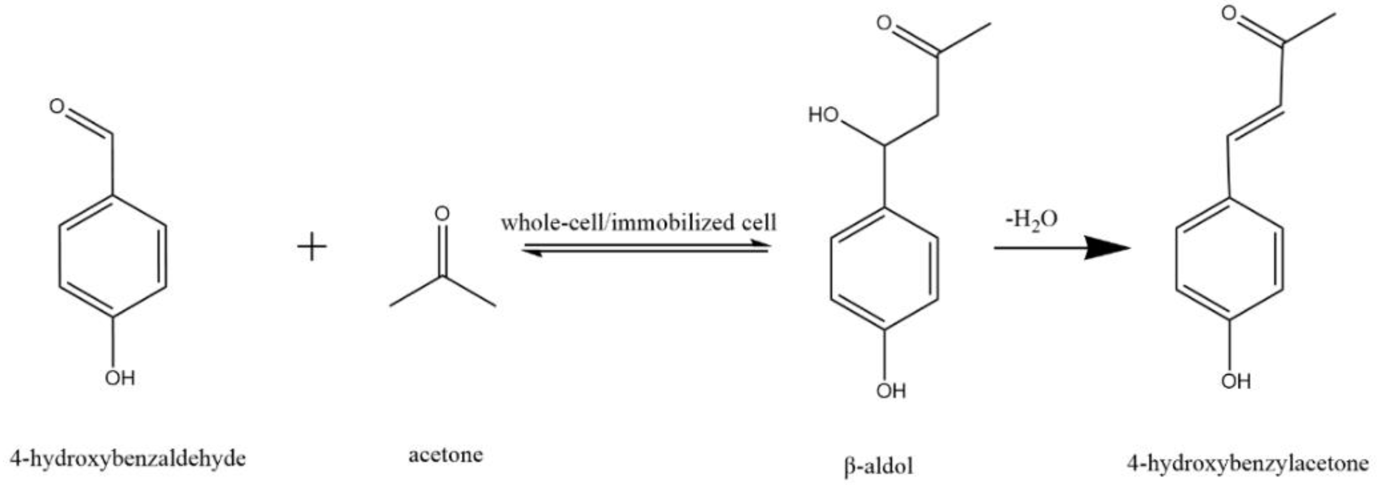 Catalysts 12 00997 g001