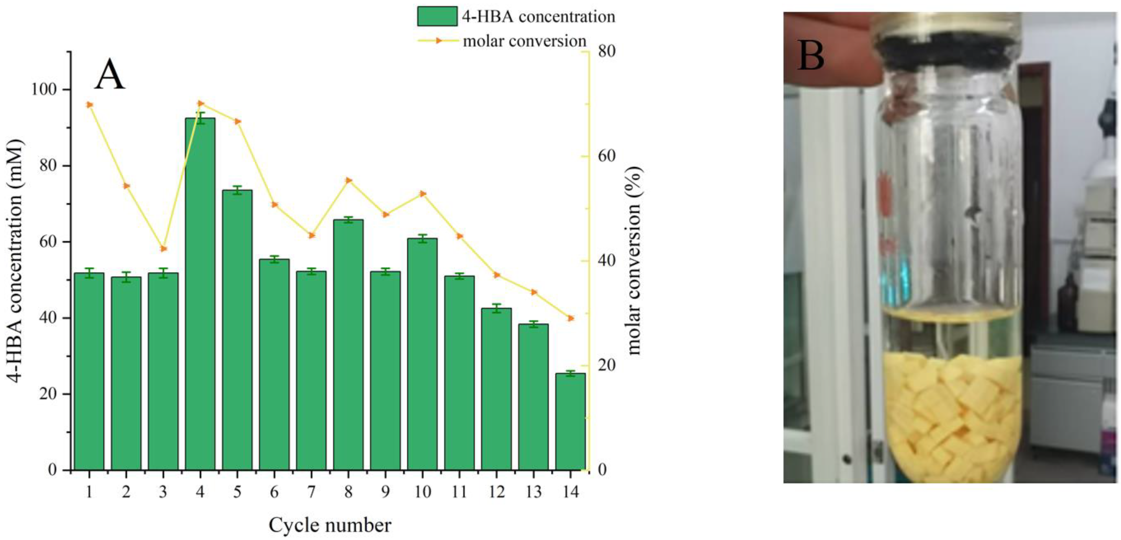 Catalysts 12 00997 g005