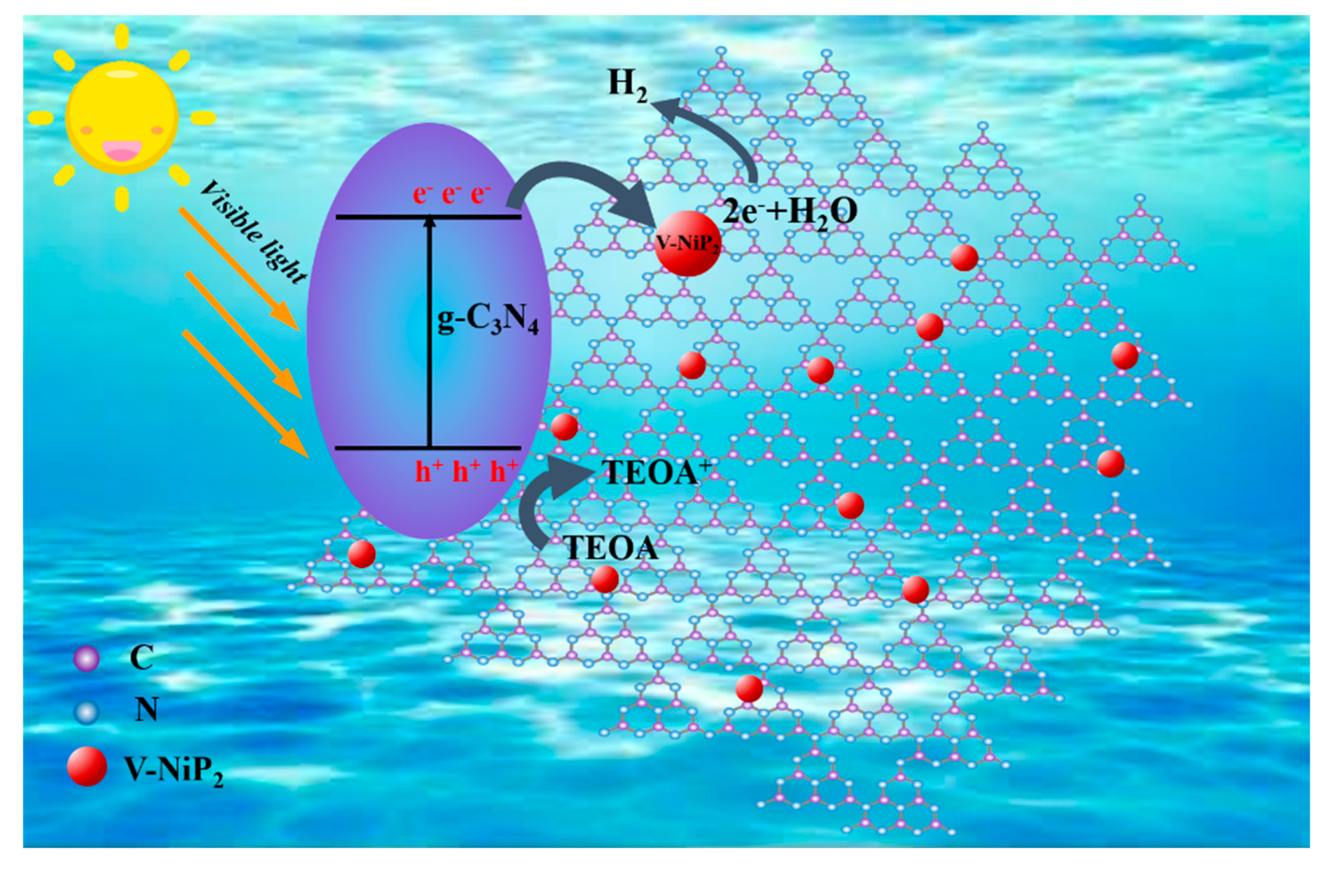 Catalysts 12 00998 g005