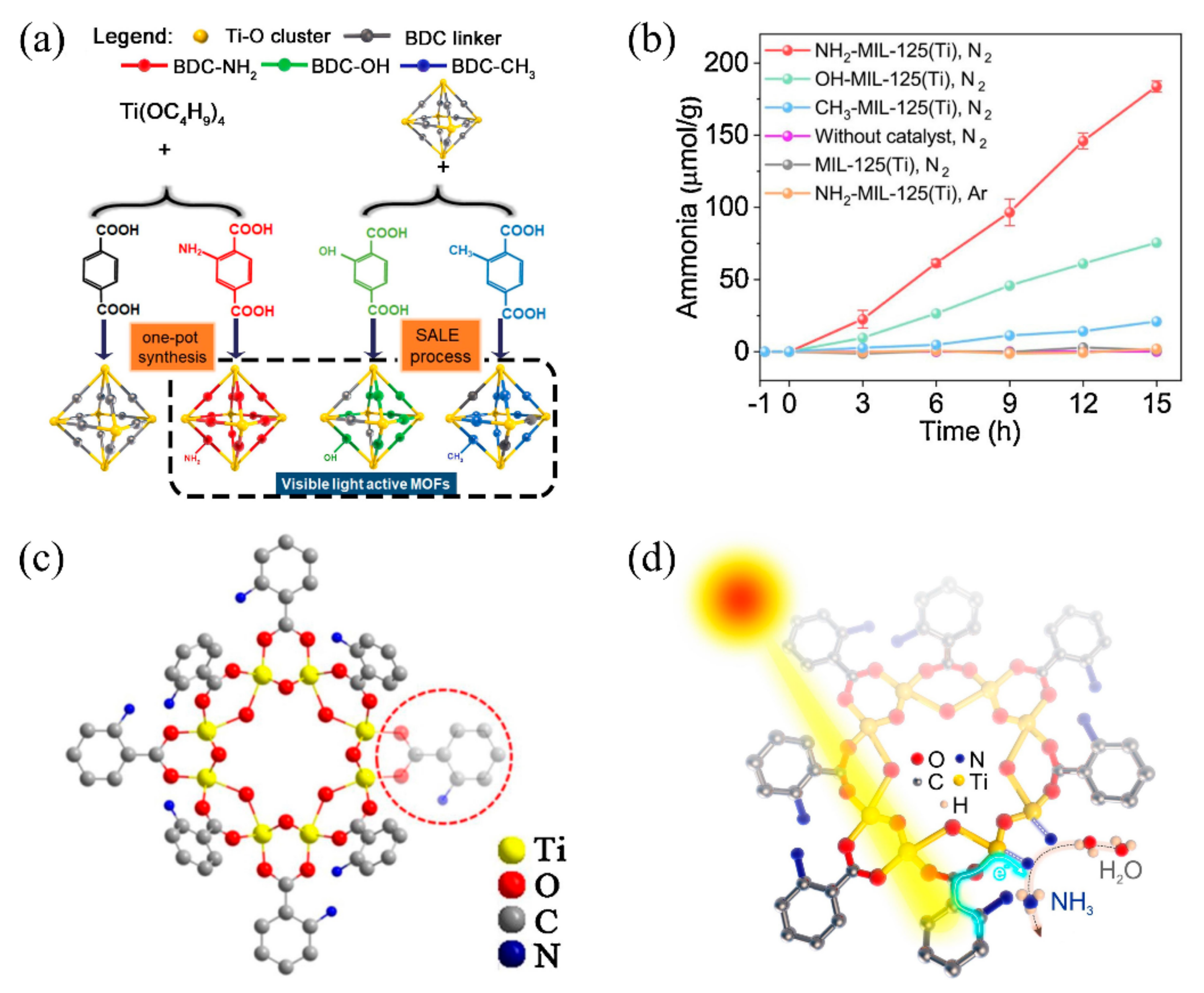 Catalysts 12 01005 g003