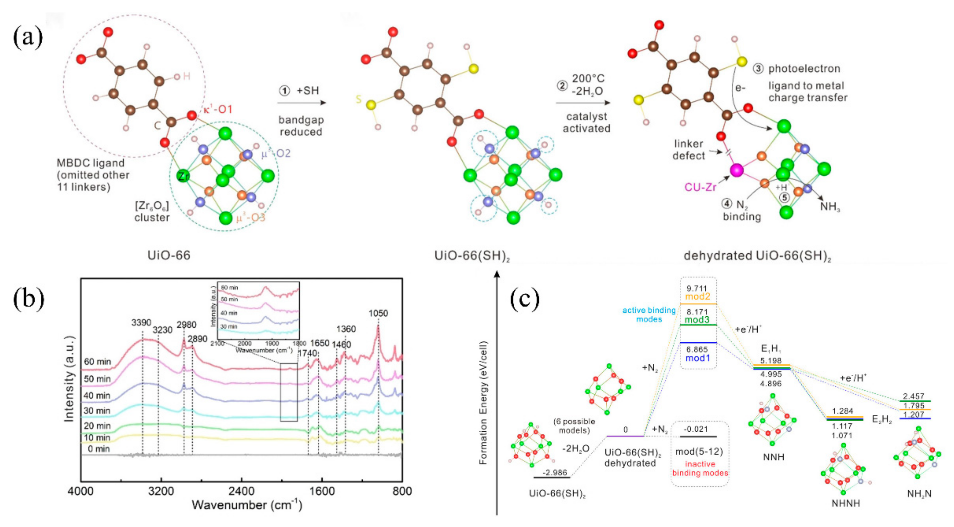 Catalysts 12 01005 g004