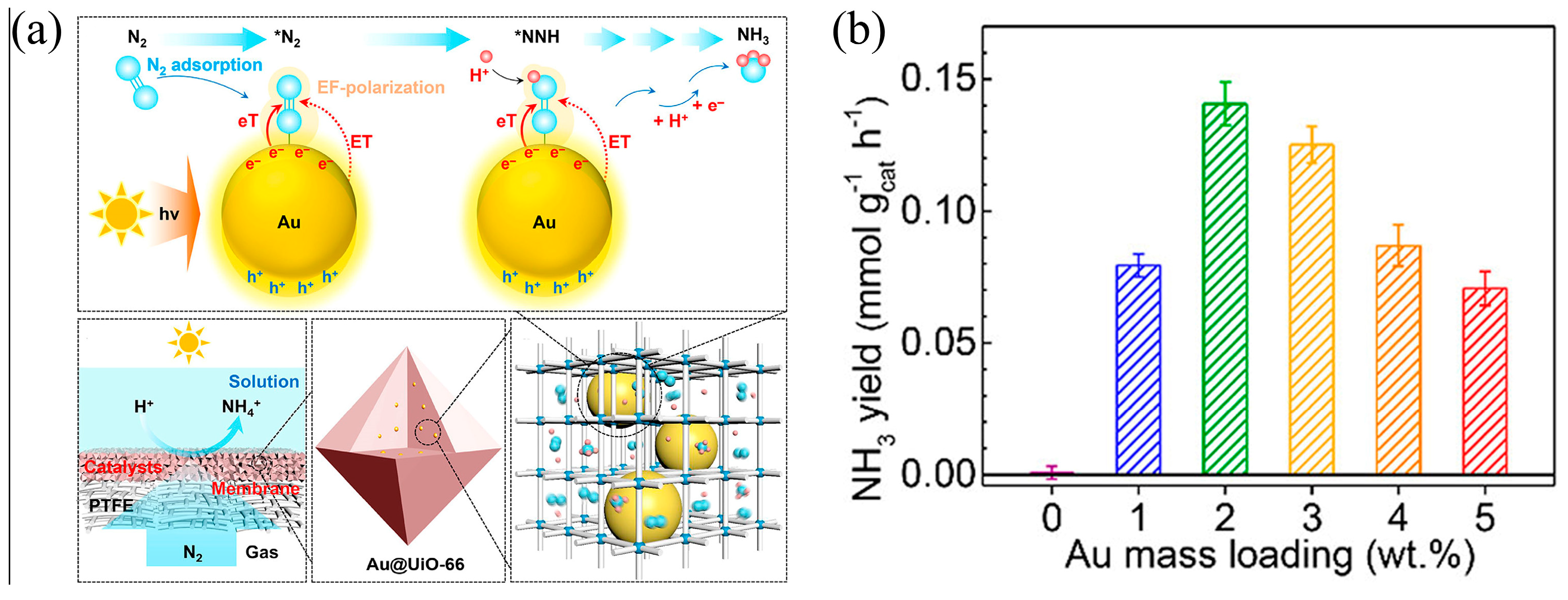 Catalysts 12 01005 g011