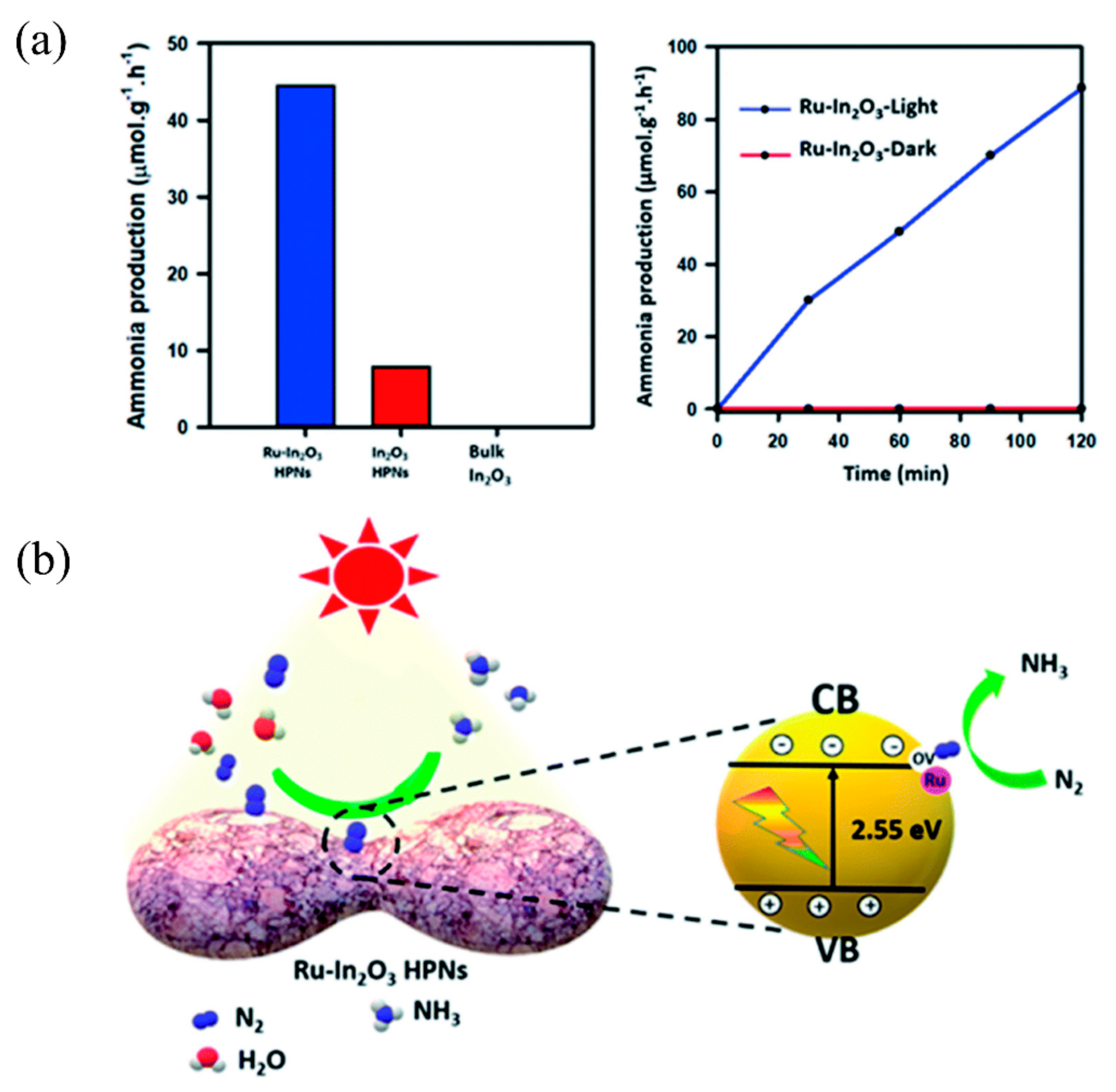 Catalysts 12 01005 g013