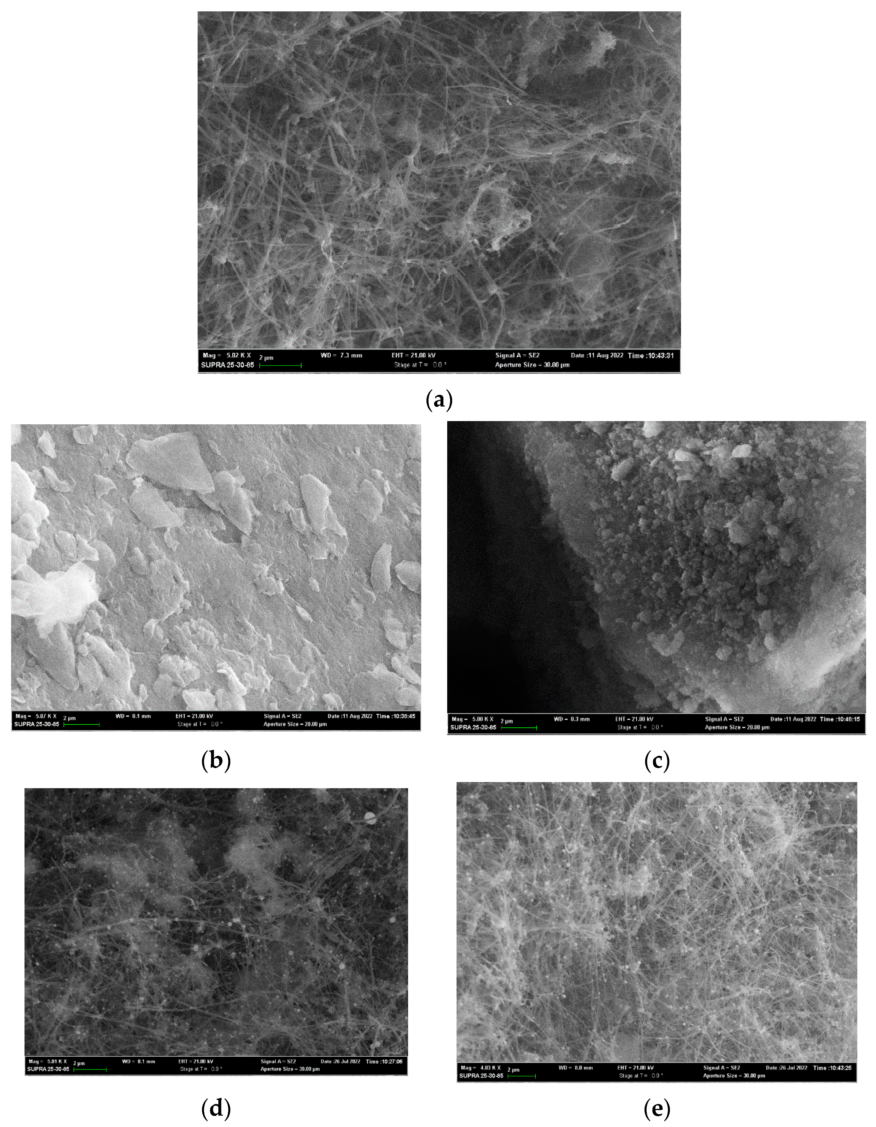 Catalysts 12 01013 g003a