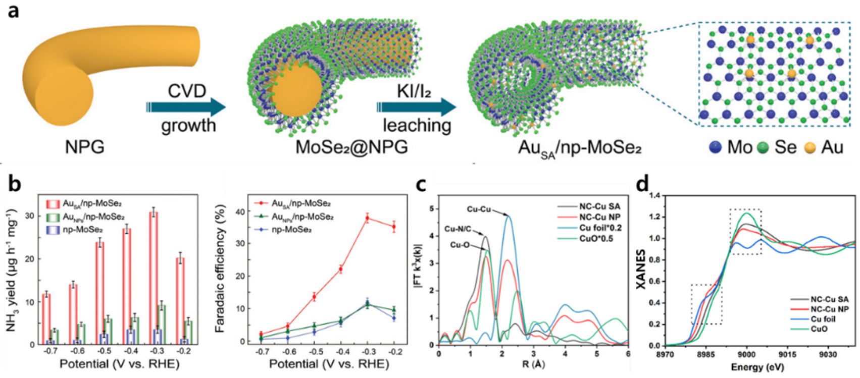 Catalysts 12 01015 g004