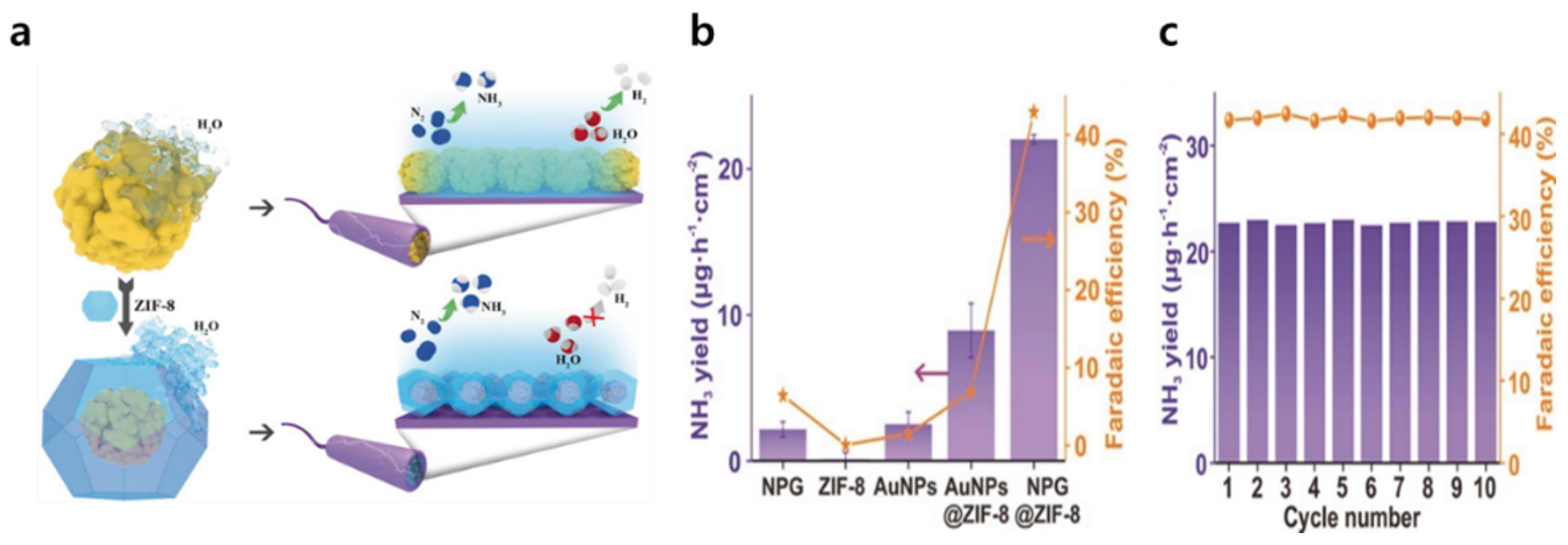 Catalysts 12 01015 g005