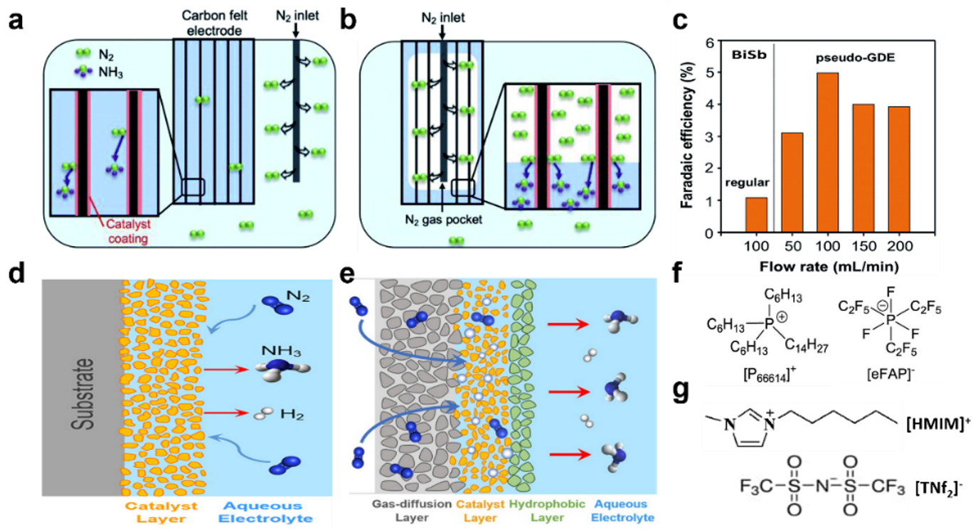 Catalysts 12 01015 g006