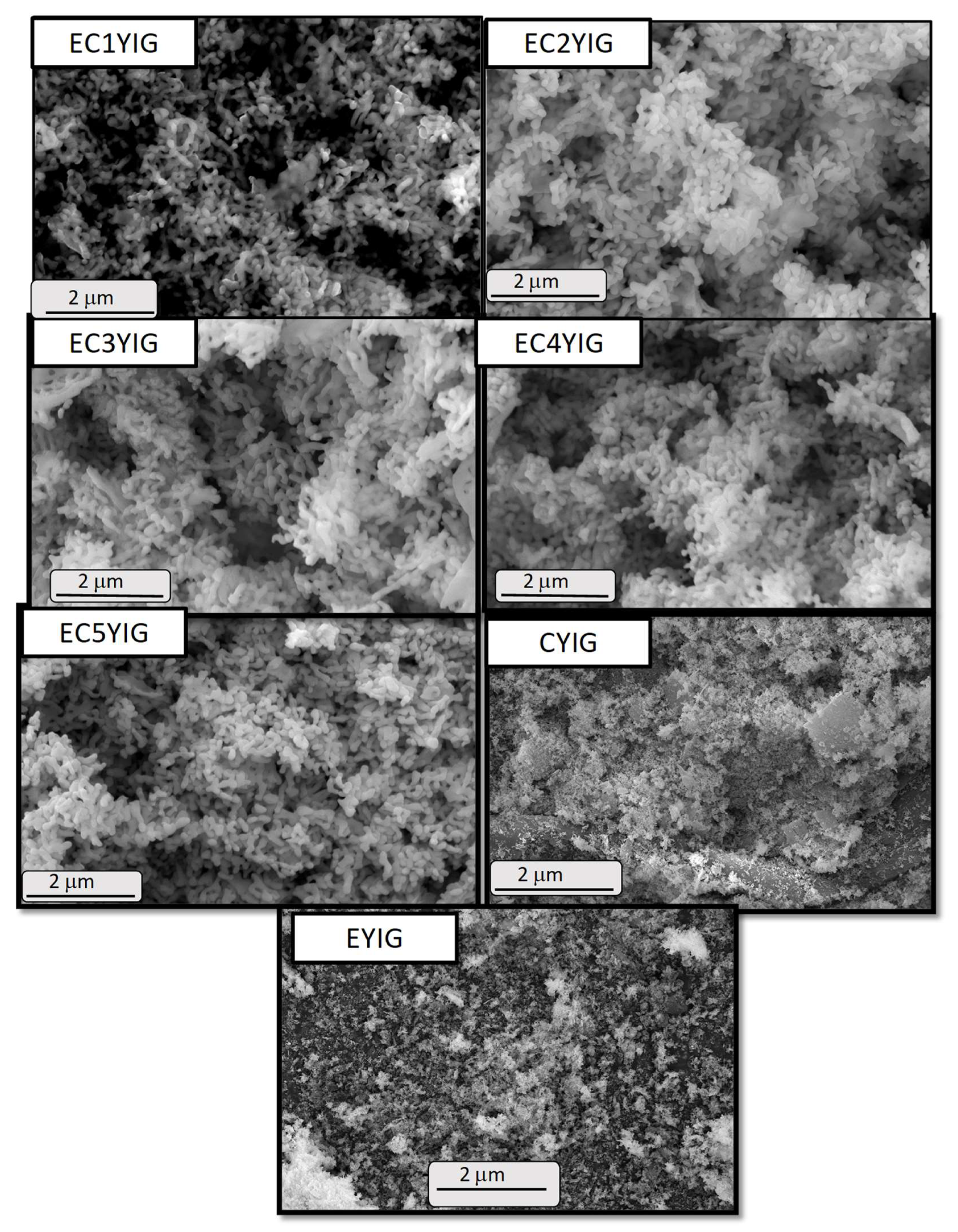 Catalysts 12 01033 g006