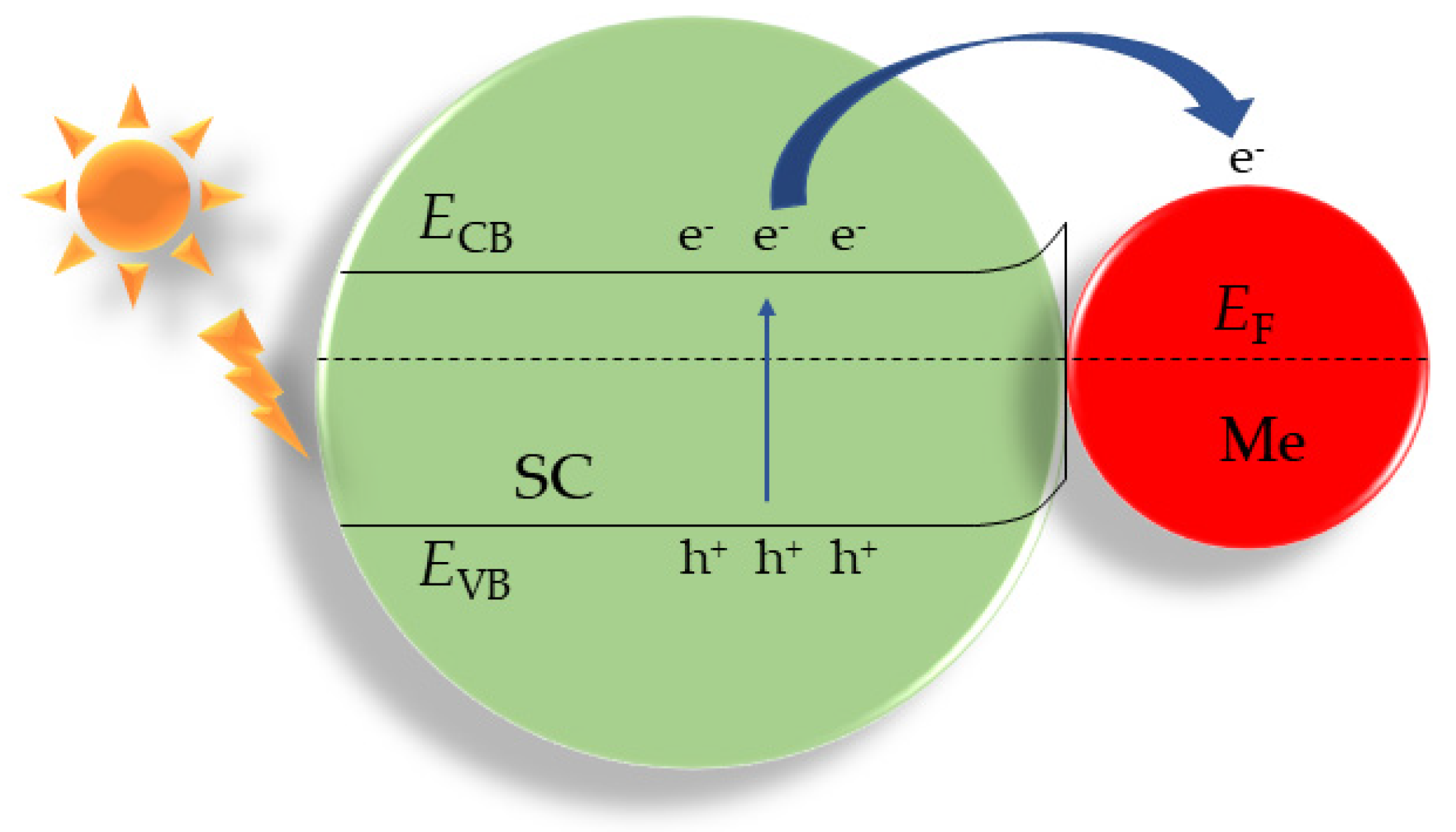 Catalysts 12 01036 g003