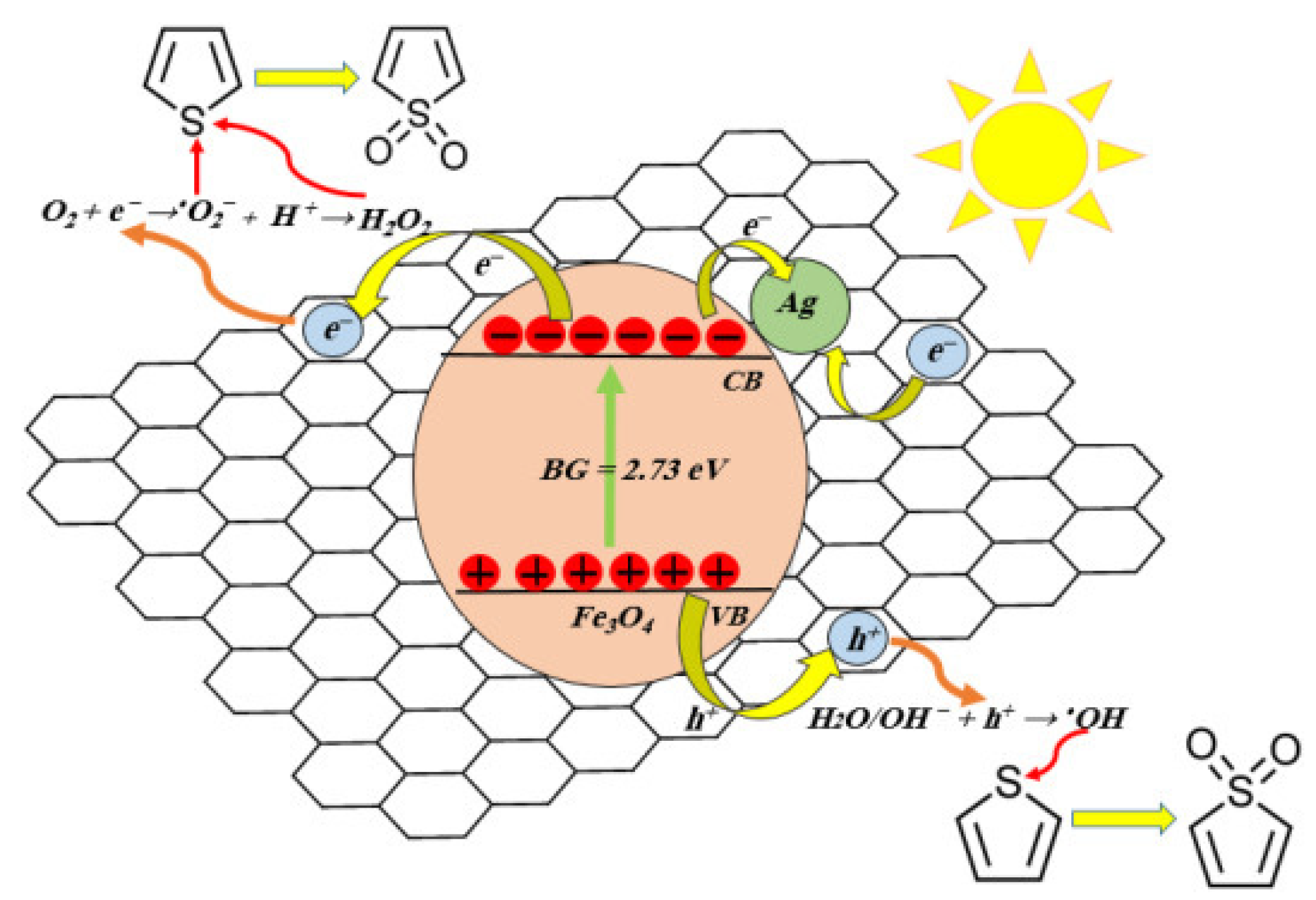 Catalysts 12 01036 g004