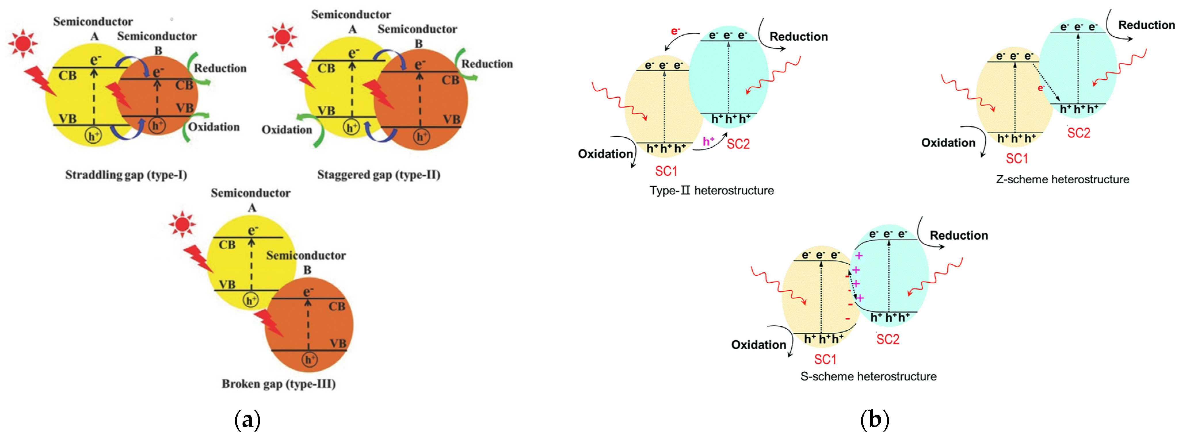 Catalysts 12 01036 g006