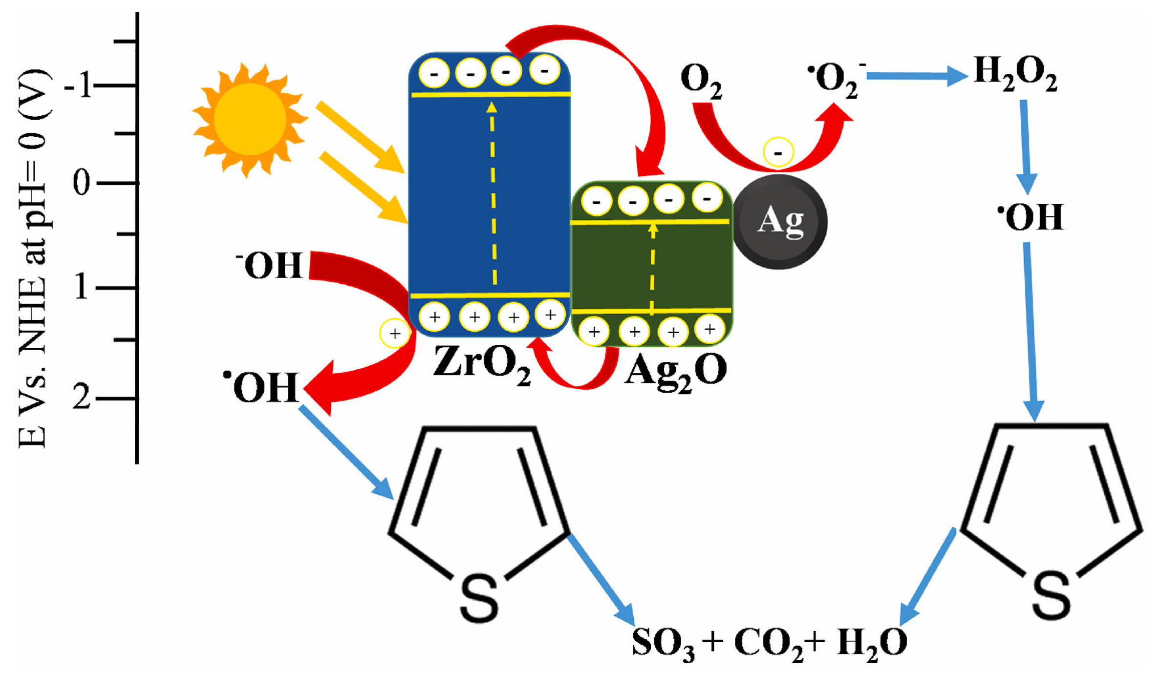 Catalysts 12 01036 g007