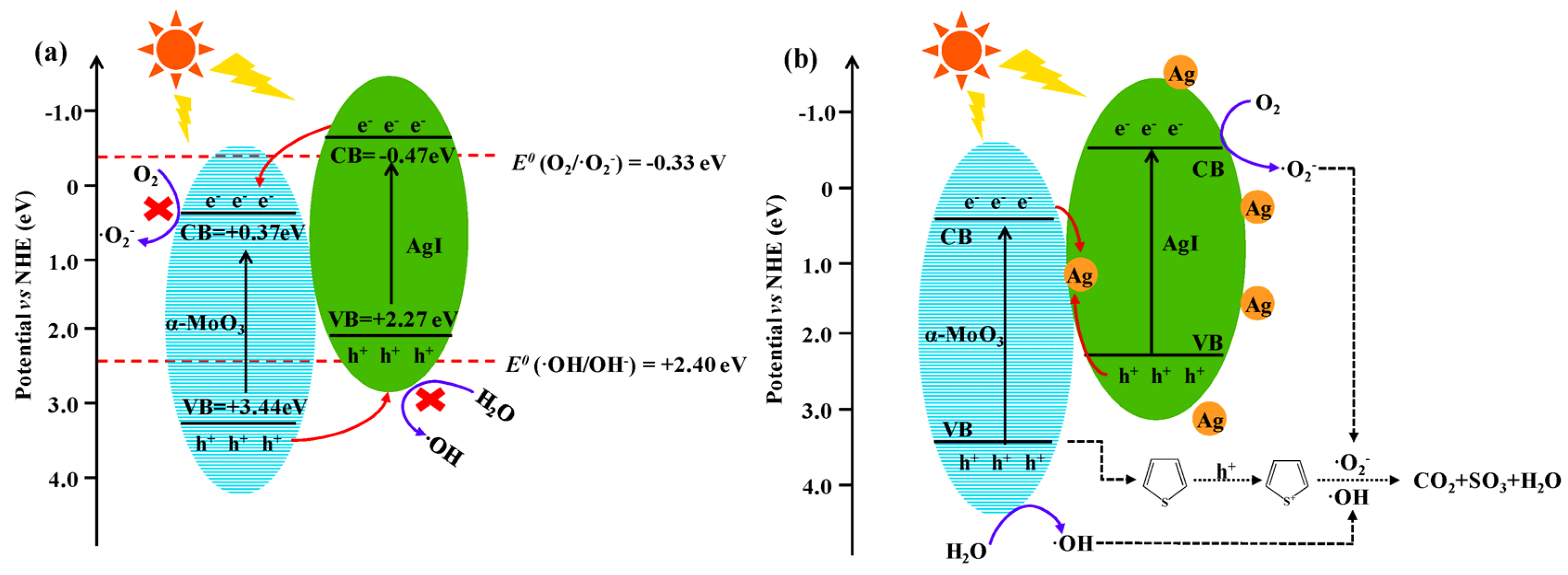 Catalysts 12 01036 g009