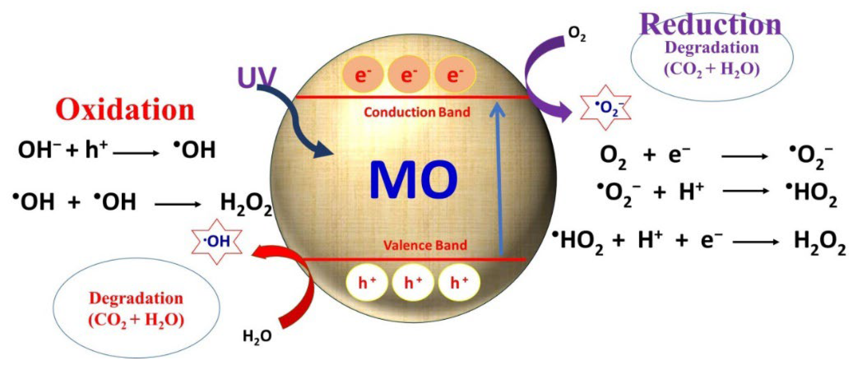 Catalysts 12 01047 g001
