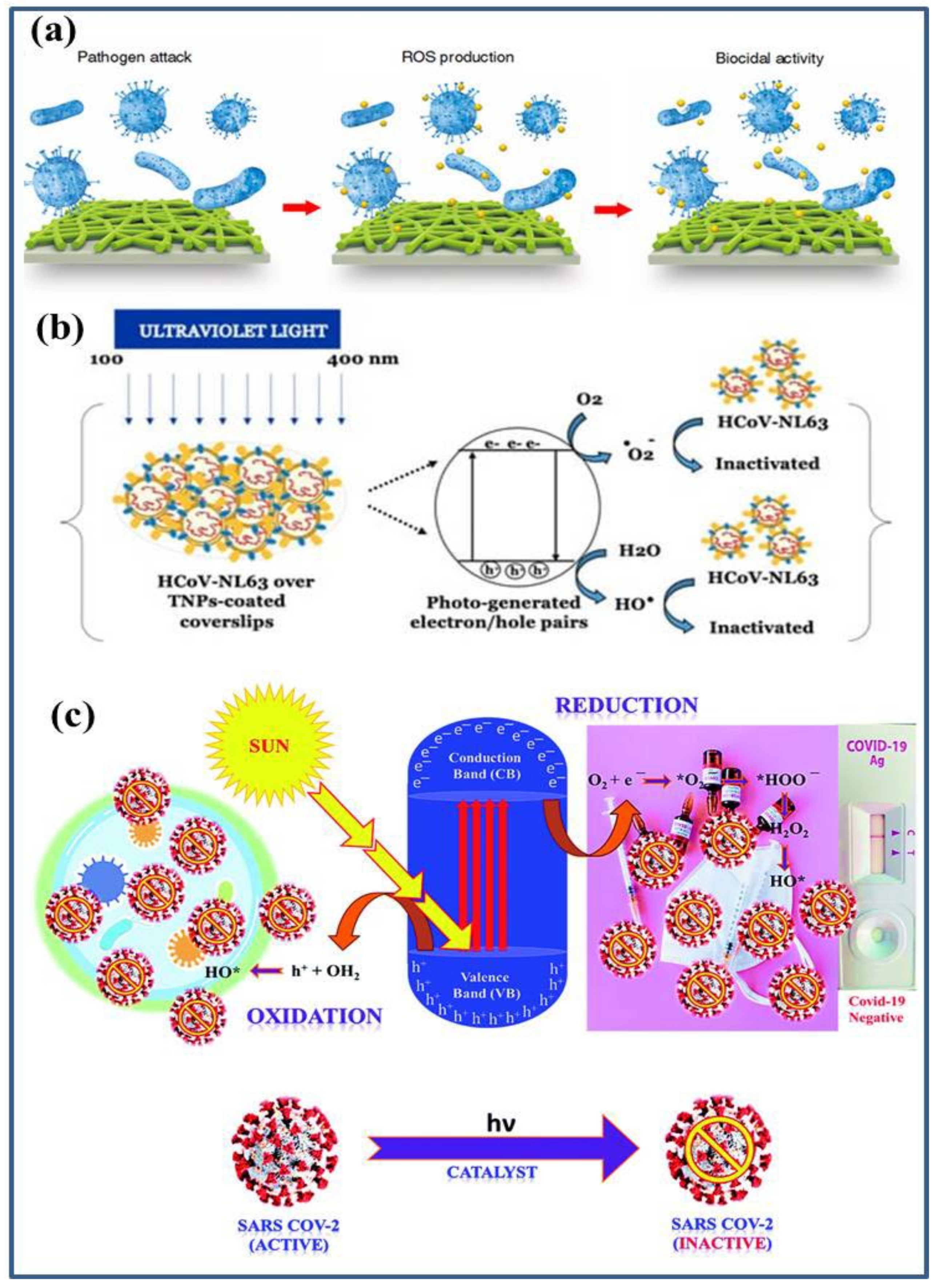 Catalysts 12 01047 g003