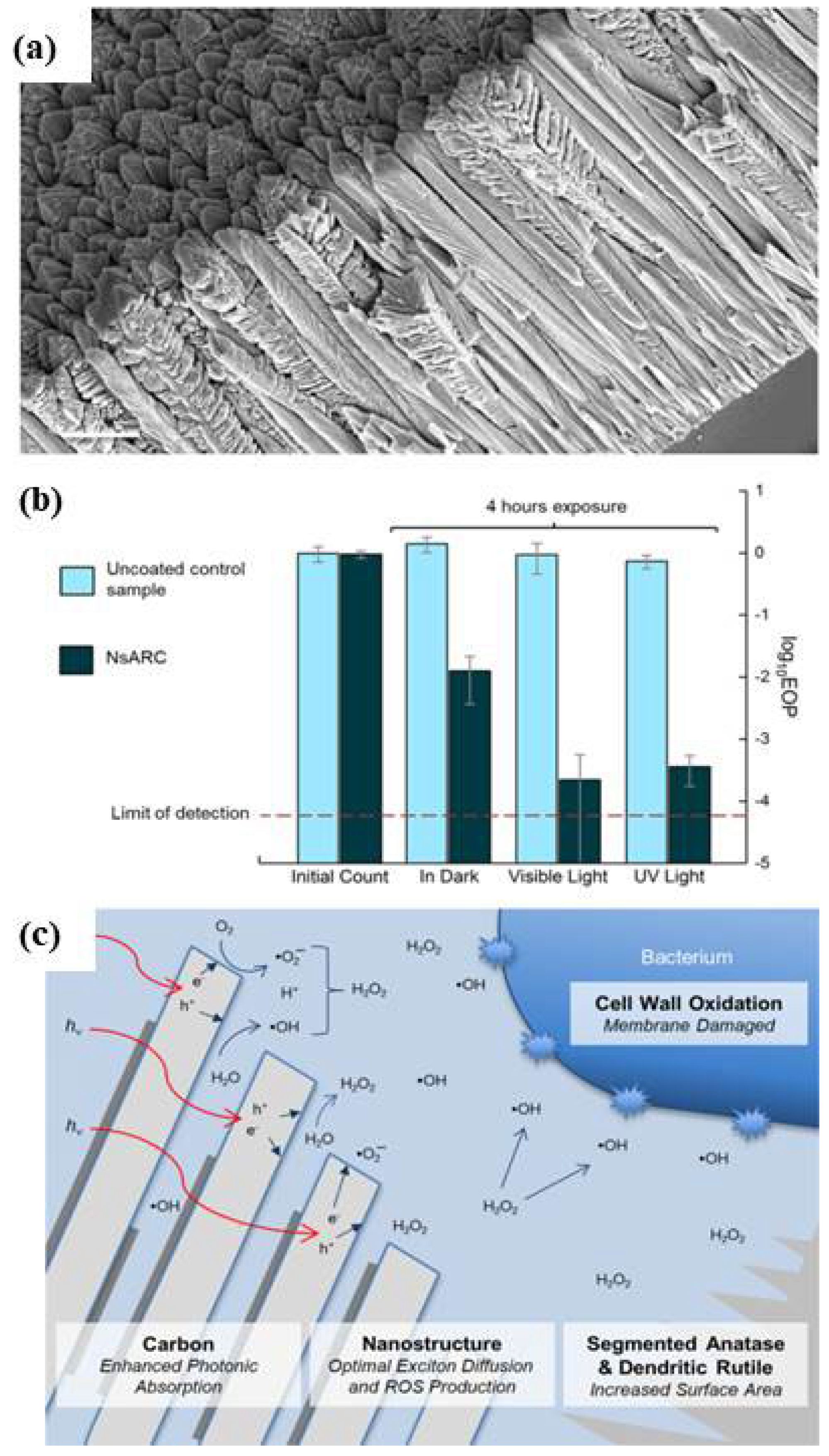 Catalysts 12 01047 g004