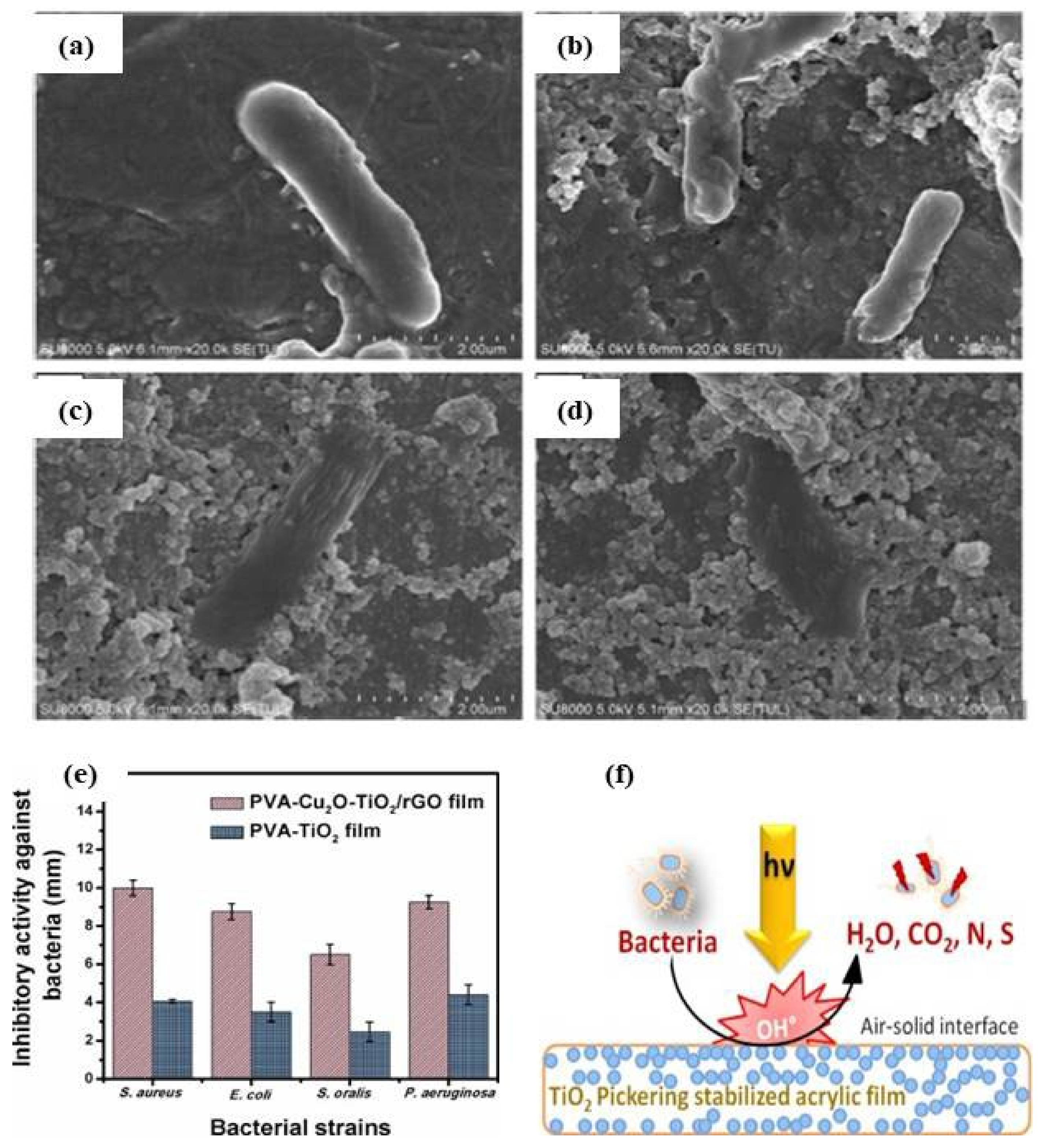 Catalysts 12 01047 g005