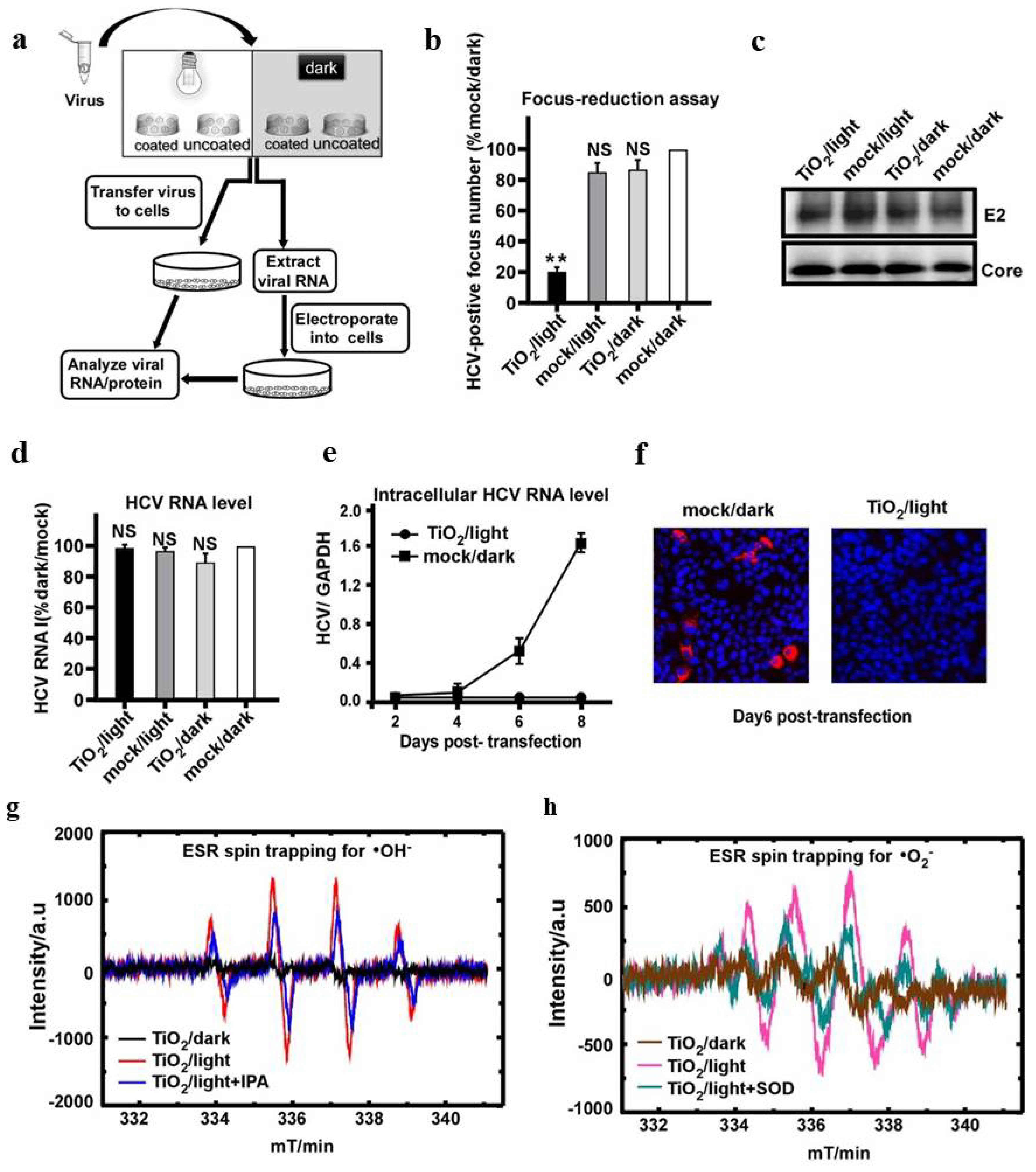 Catalysts 12 01047 g007
