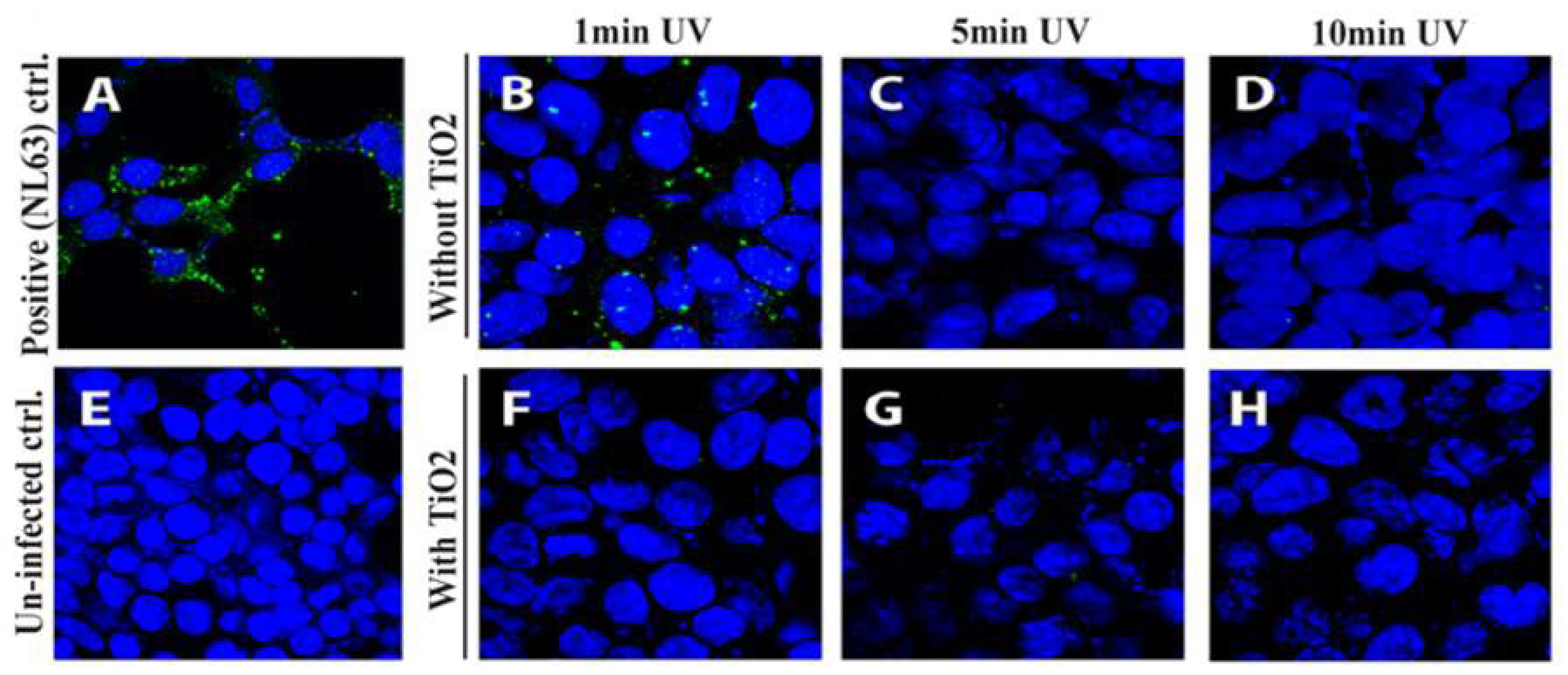 Catalysts 12 01047 g008