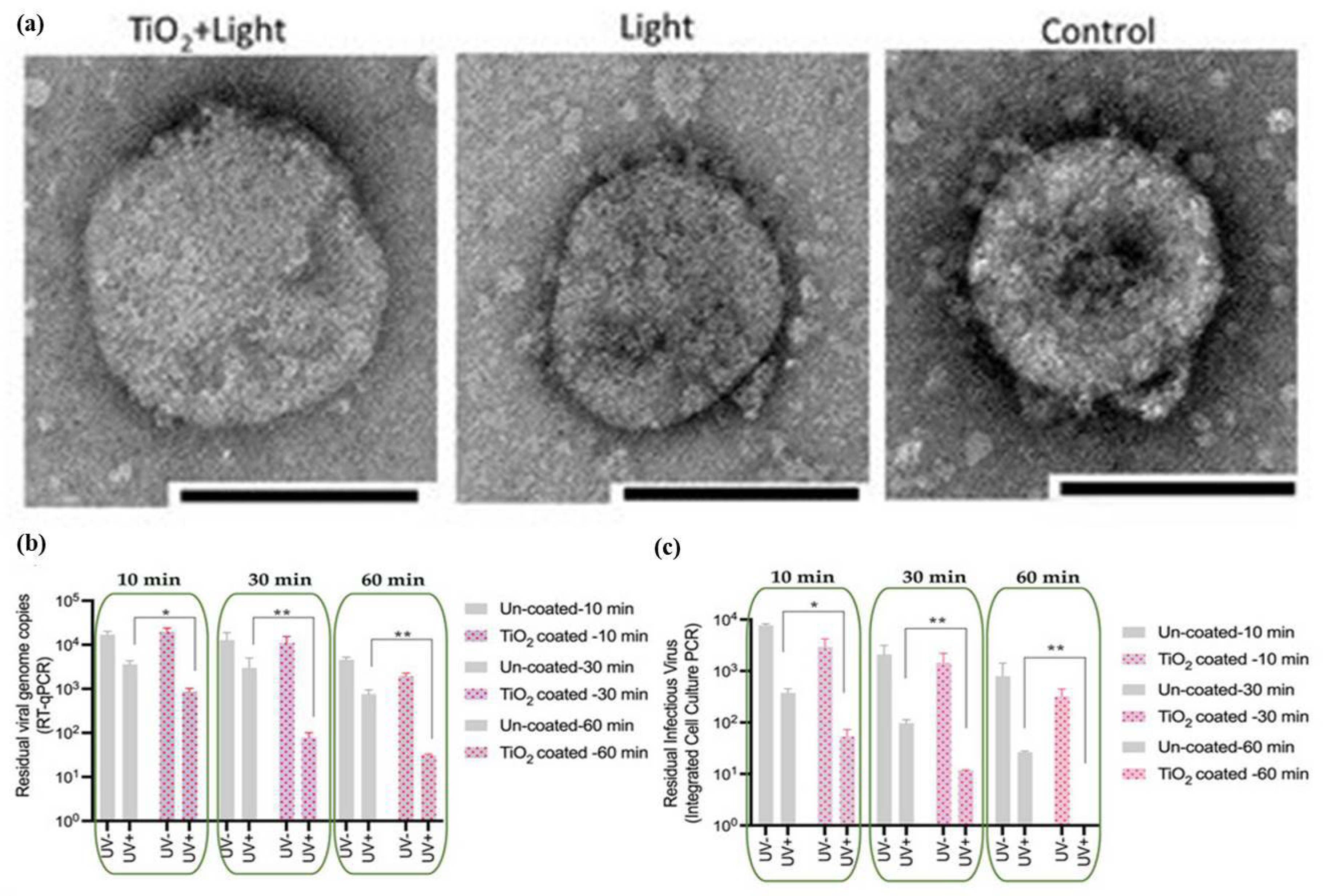 Catalysts 12 01047 g009