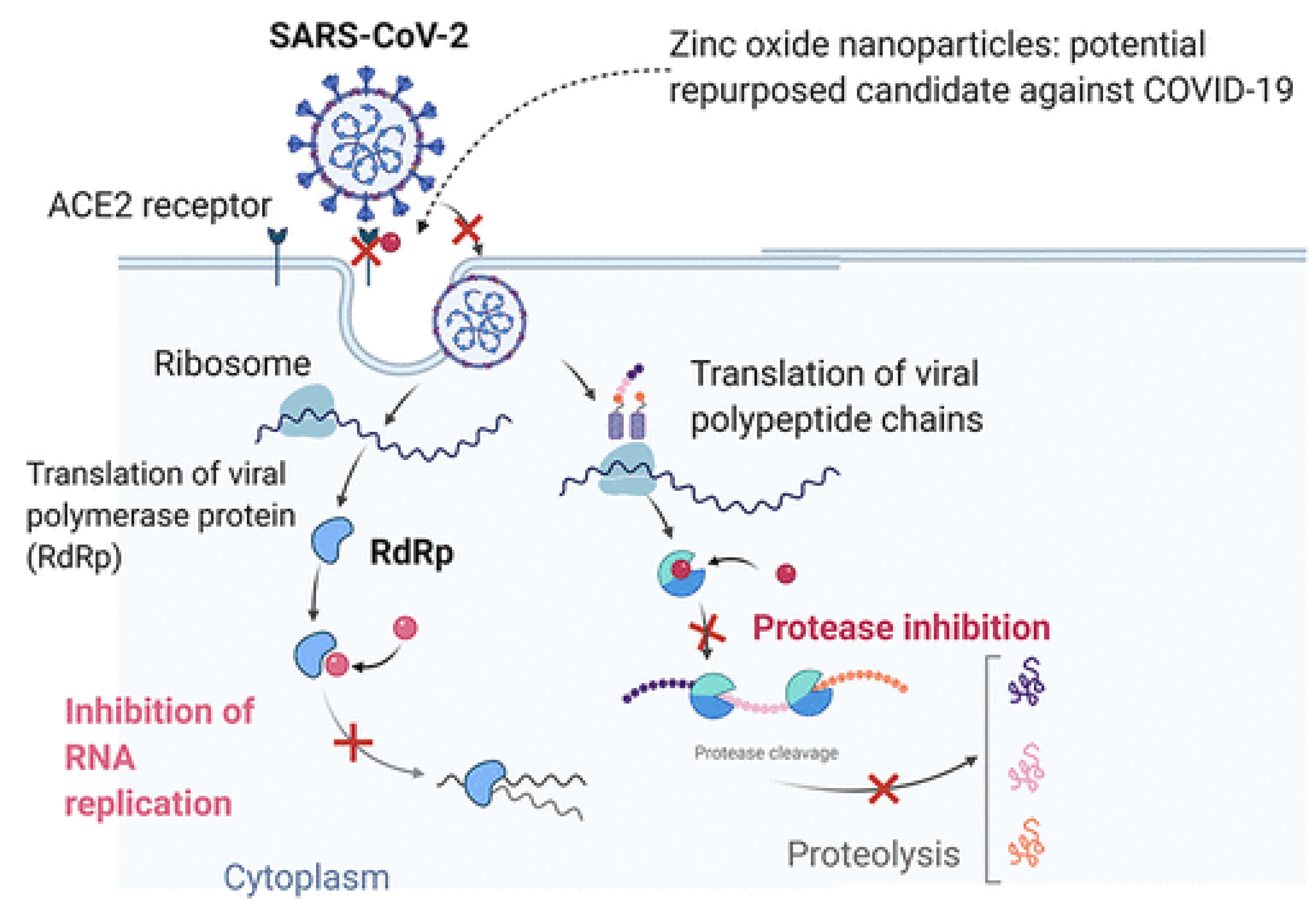 Catalysts 12 01047 g014